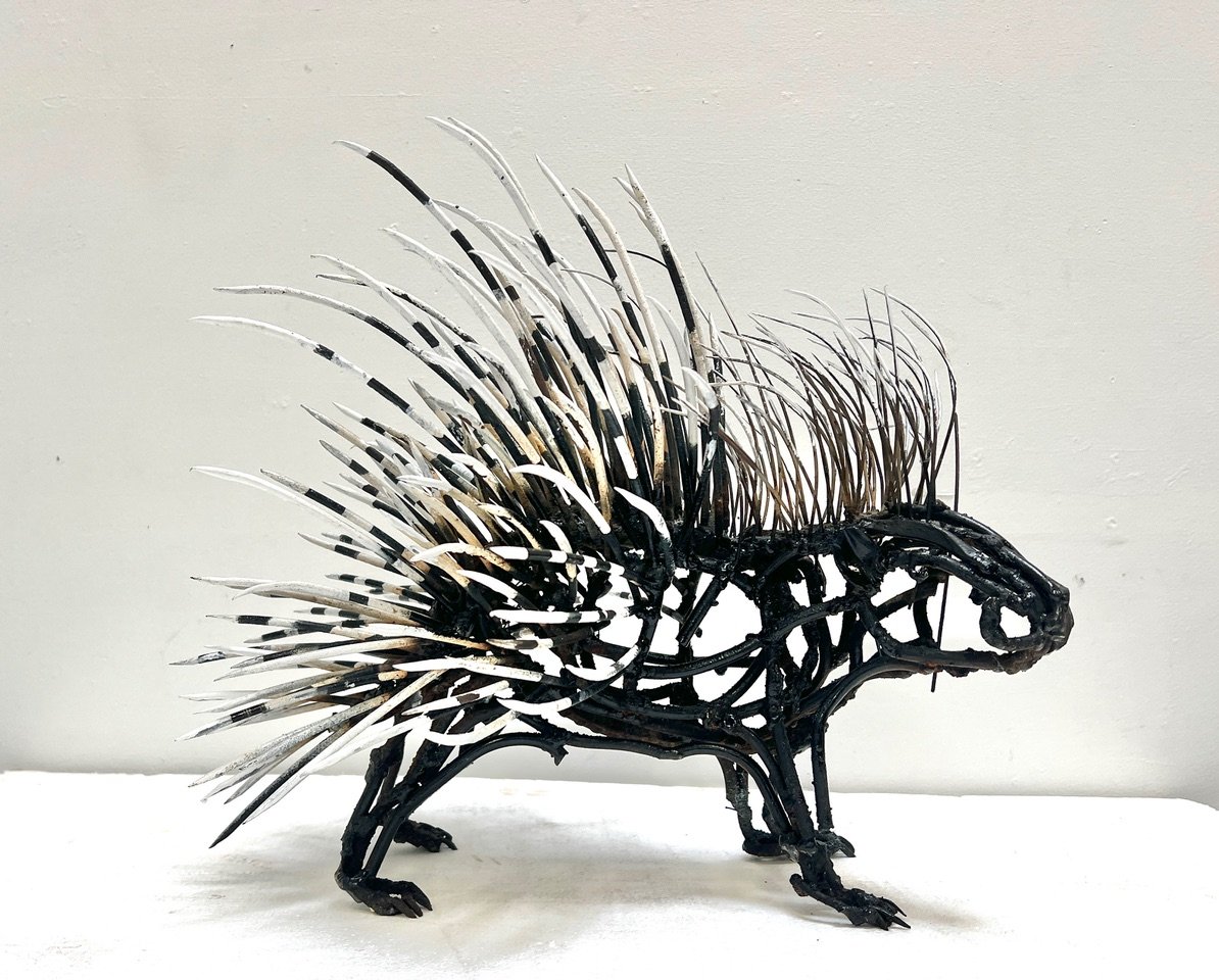 Wendy_Klemperer_Hystrix Juvenile.jpeg