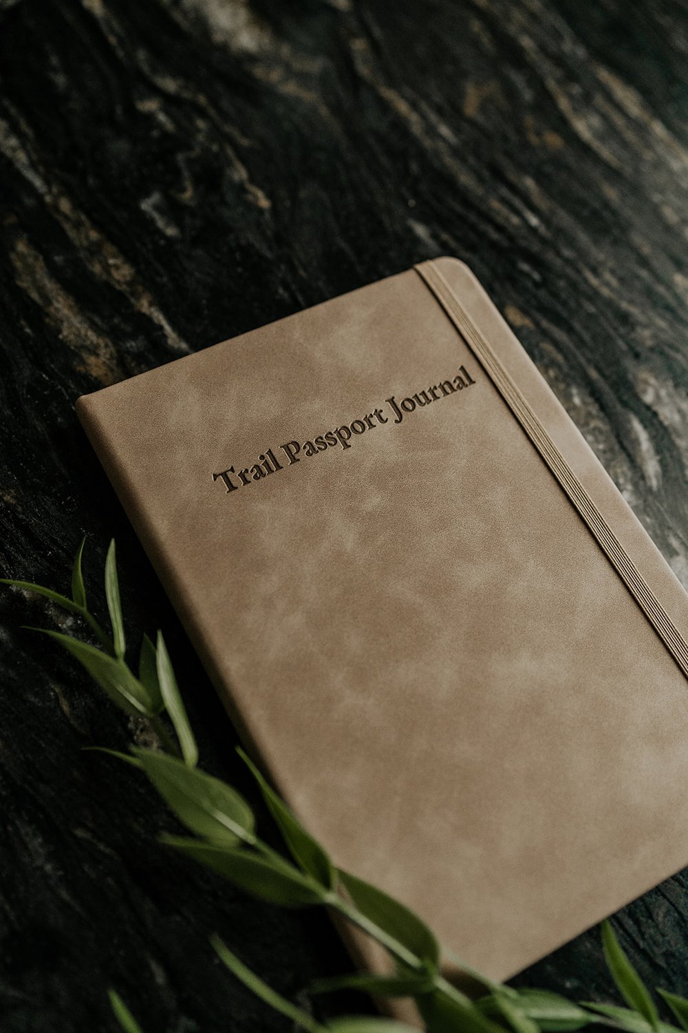 Passport Journal Cover