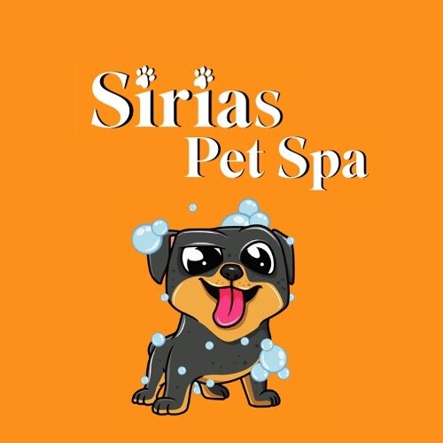 Welcome to our new Instagram 🐶
we are here to give your best friend(s) an enjoying spa day. Make sure to follow us to stay in the loop!

We can&rsquo;t wait for you to see what we have next!