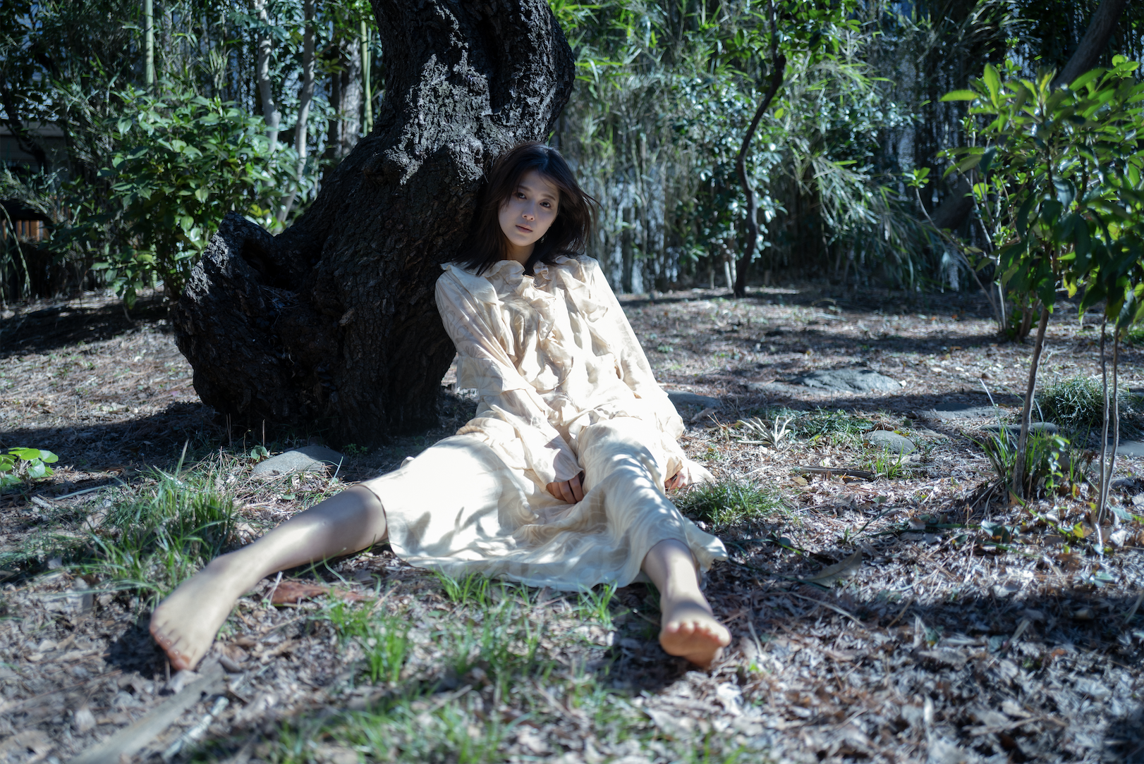 スクリーンショット 2024-06-25 17.39.48.png