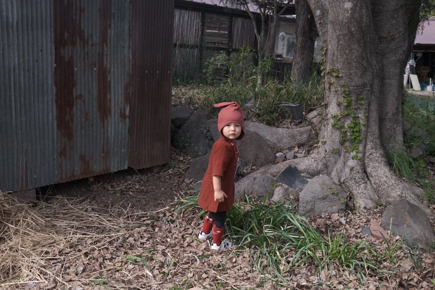 dscf3009.jpg