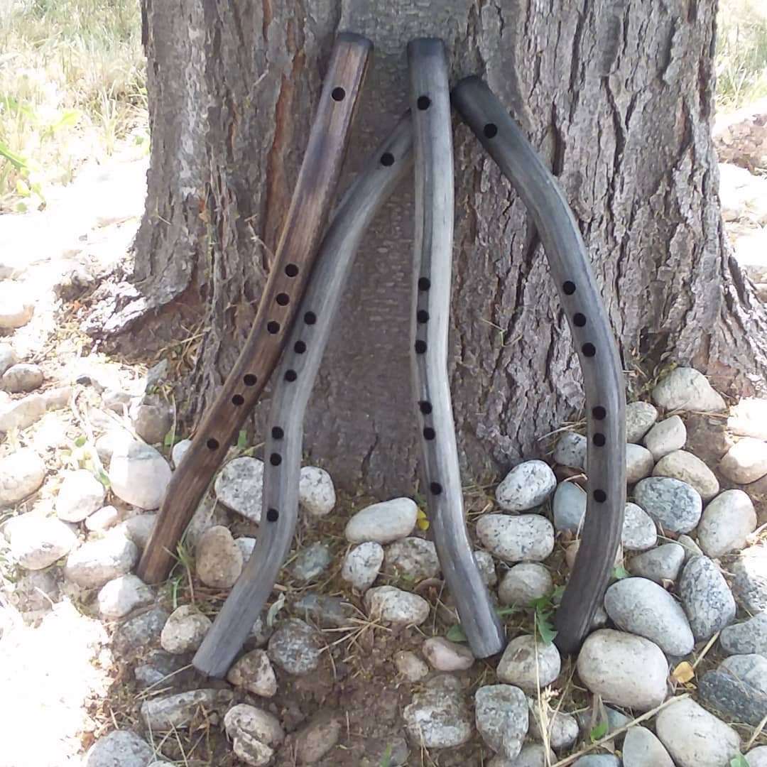 00branched.jpg