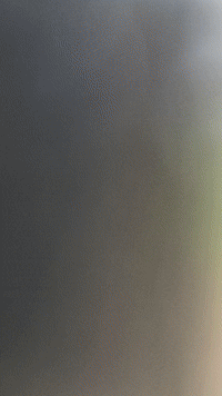 therian.gif