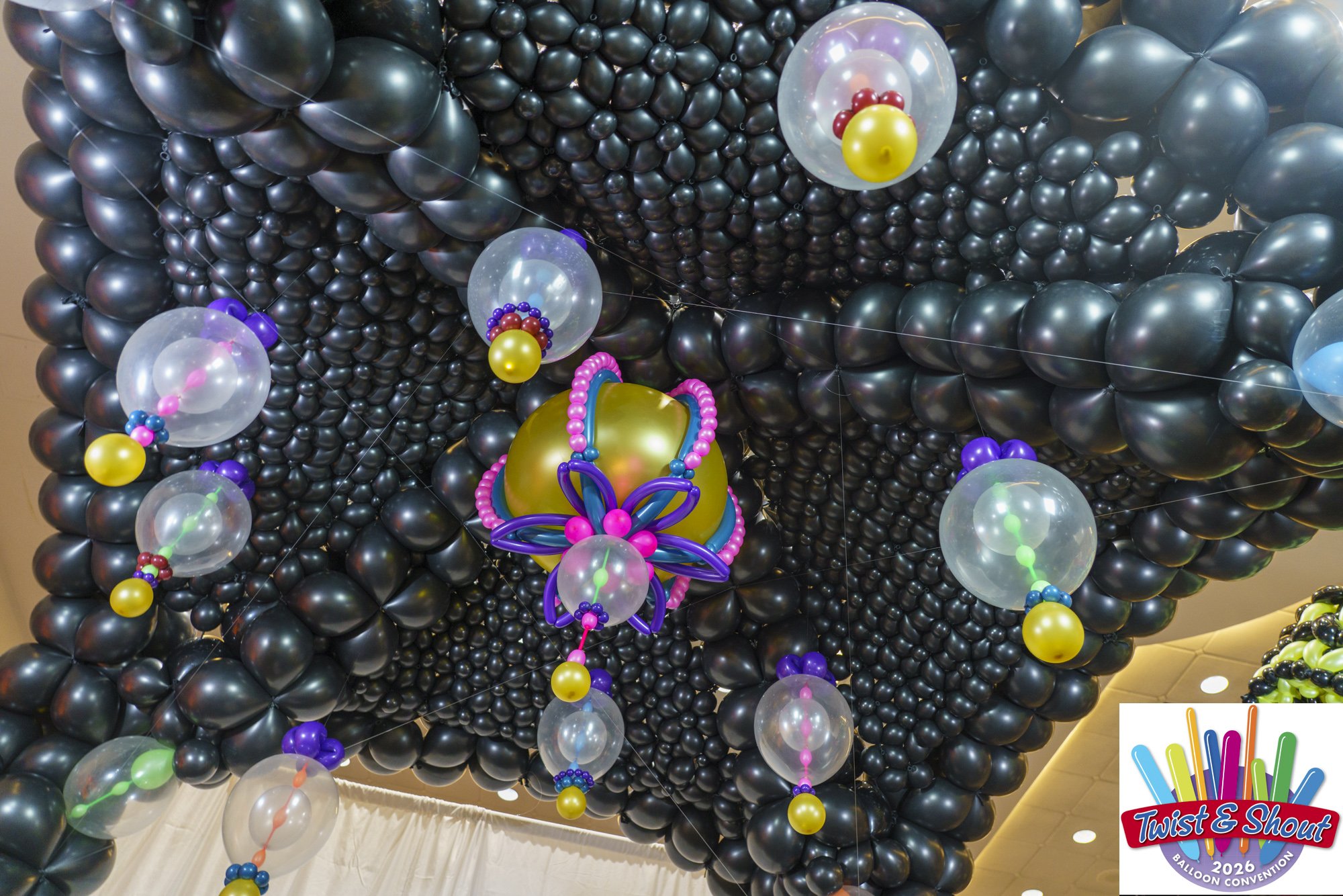 "Balloominarium" by Naomi Hummel