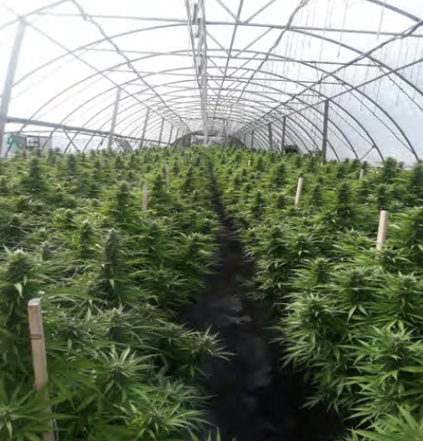 Screenshot 2023-09-14 at 1.53.37 PM.png