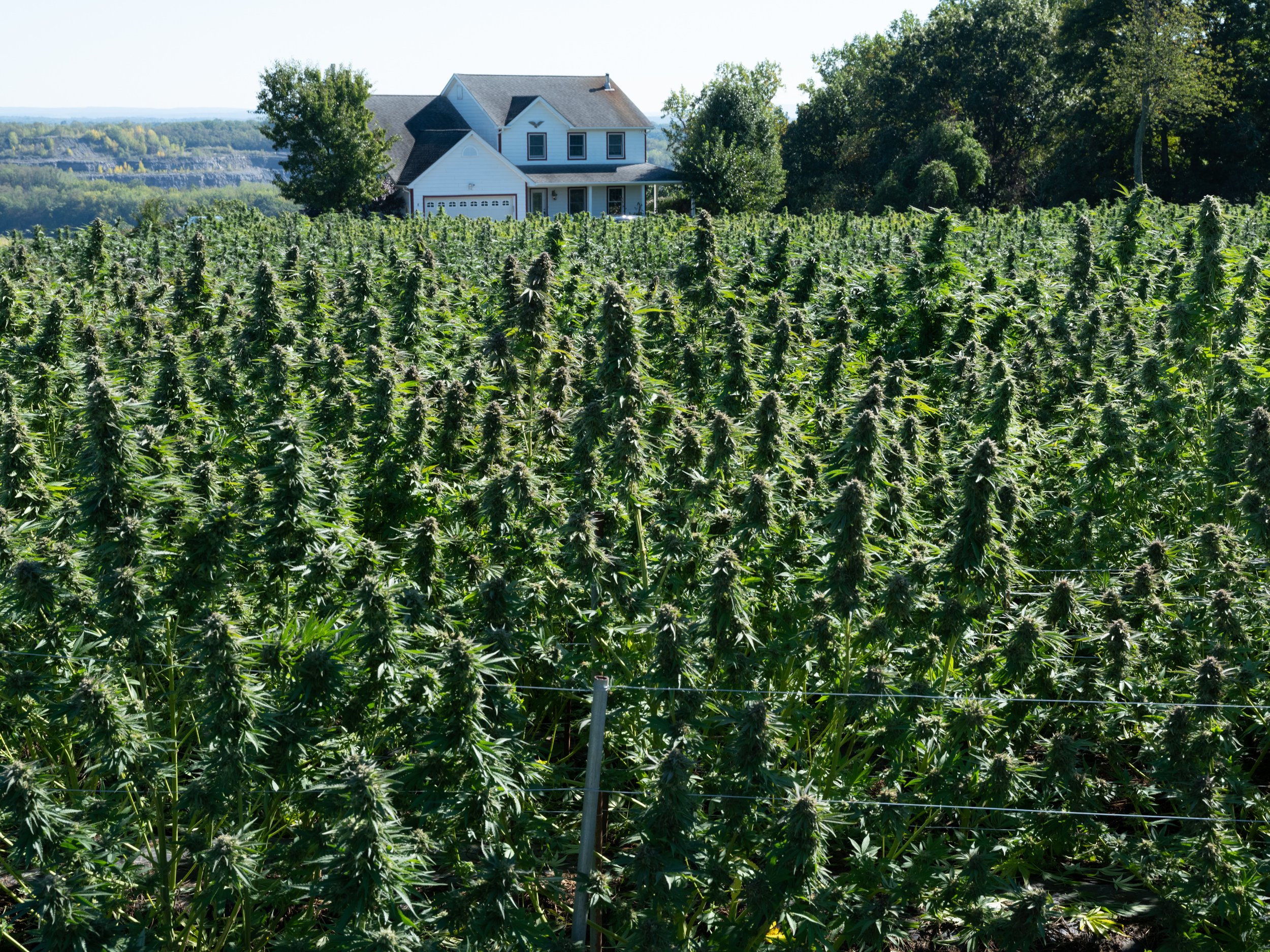 Peter FreedÂ© Hepworth-8880.jpeg