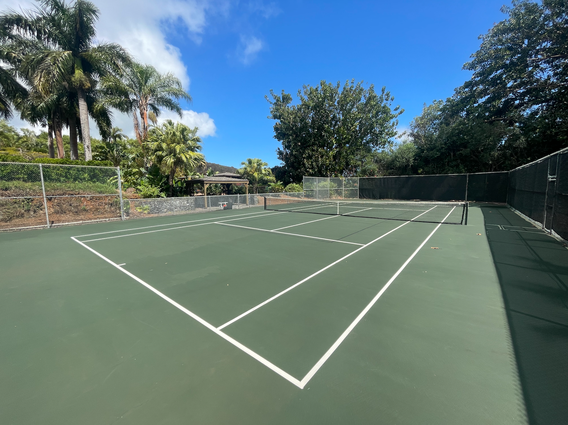 Light surface dirt (non-mold) still visible in playing surface