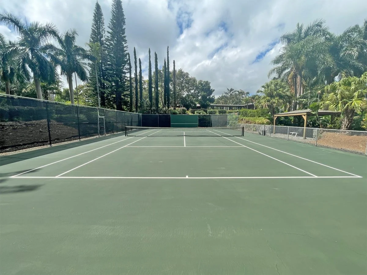 Mold removed from entire court area
