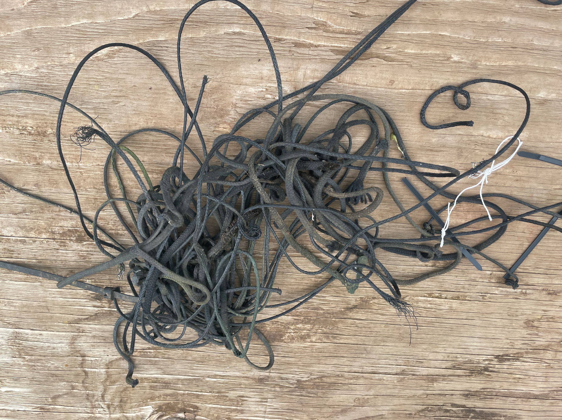 Old rope and line removed from fence