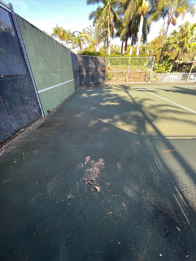 Mold, algae and leaves on court