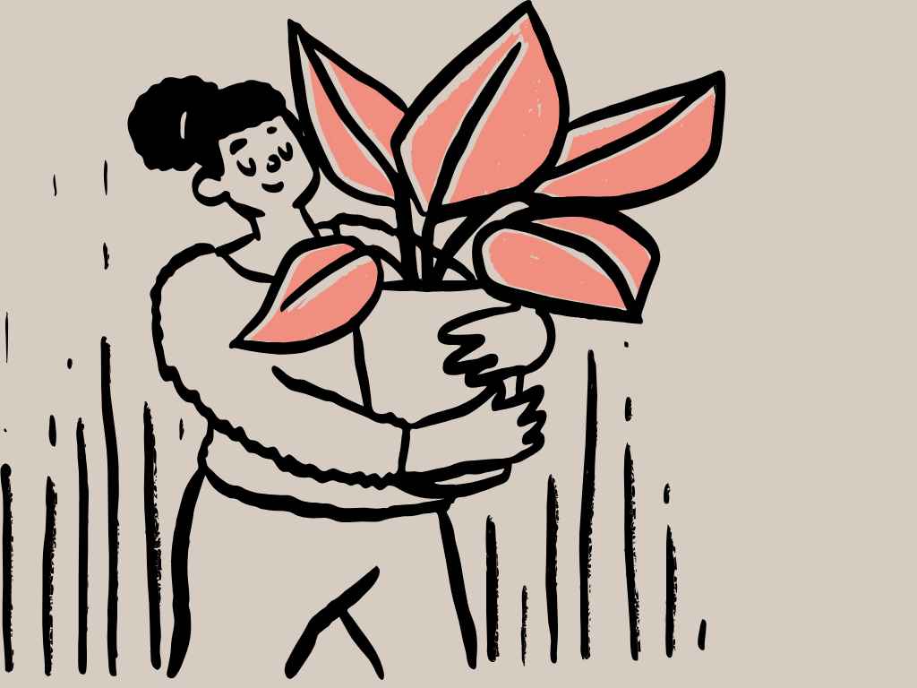 A woman with dark hair in a bun holding a large potted plant with pink leaves.