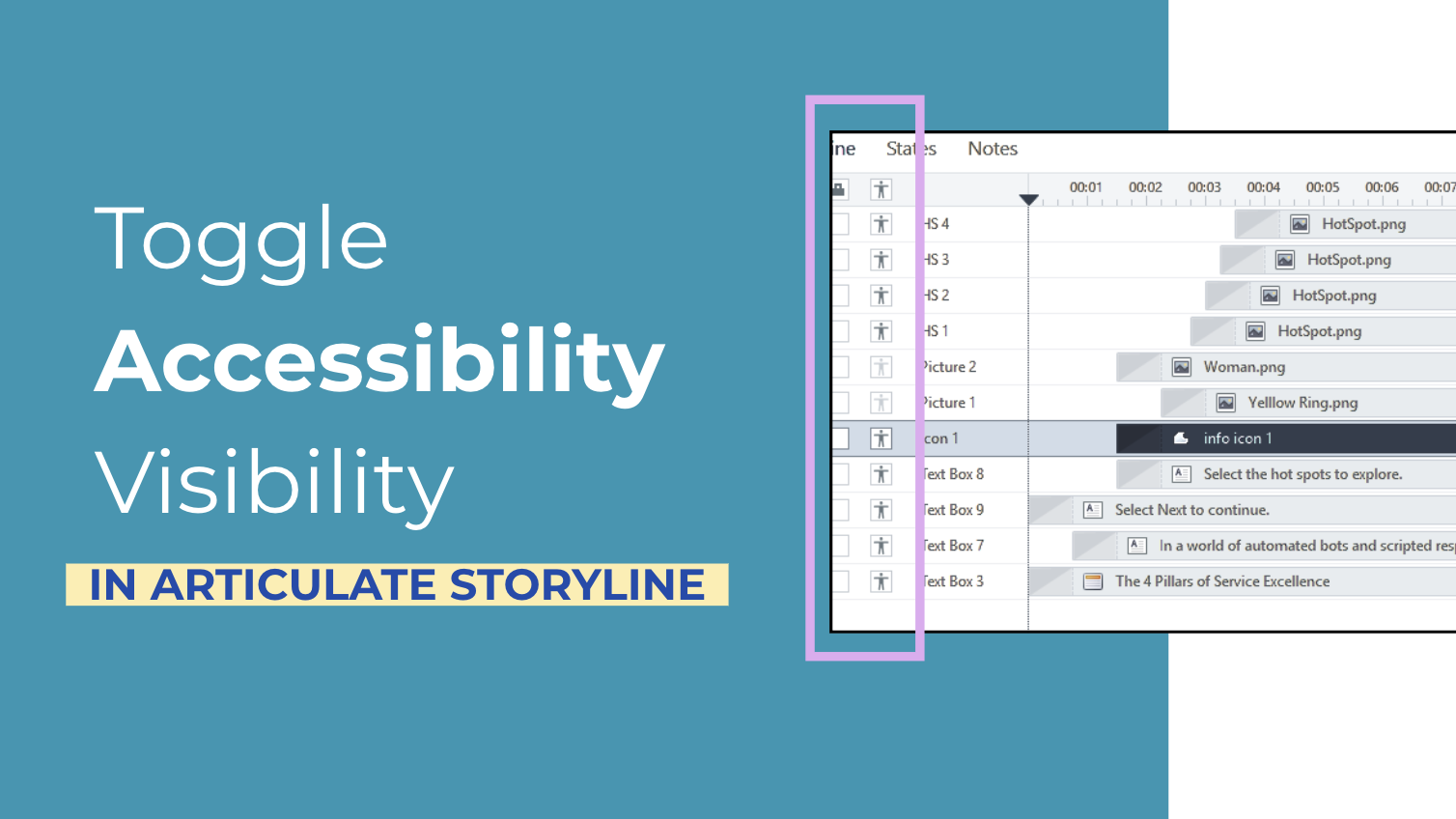 Toggle Accessibility Visibility in Storyline