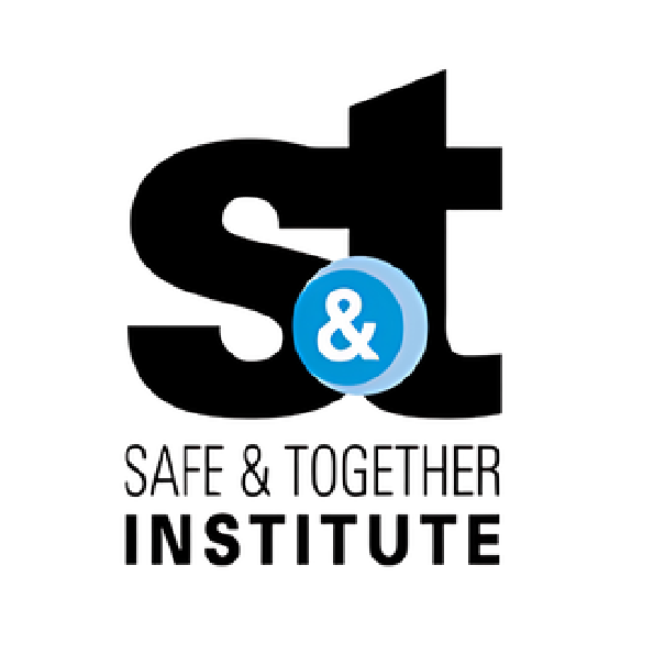 Logo with large black letters 'S' and 'E' connected by a blue circle with a white ampersand, and the text 'Safe & Together Institute' underneath.