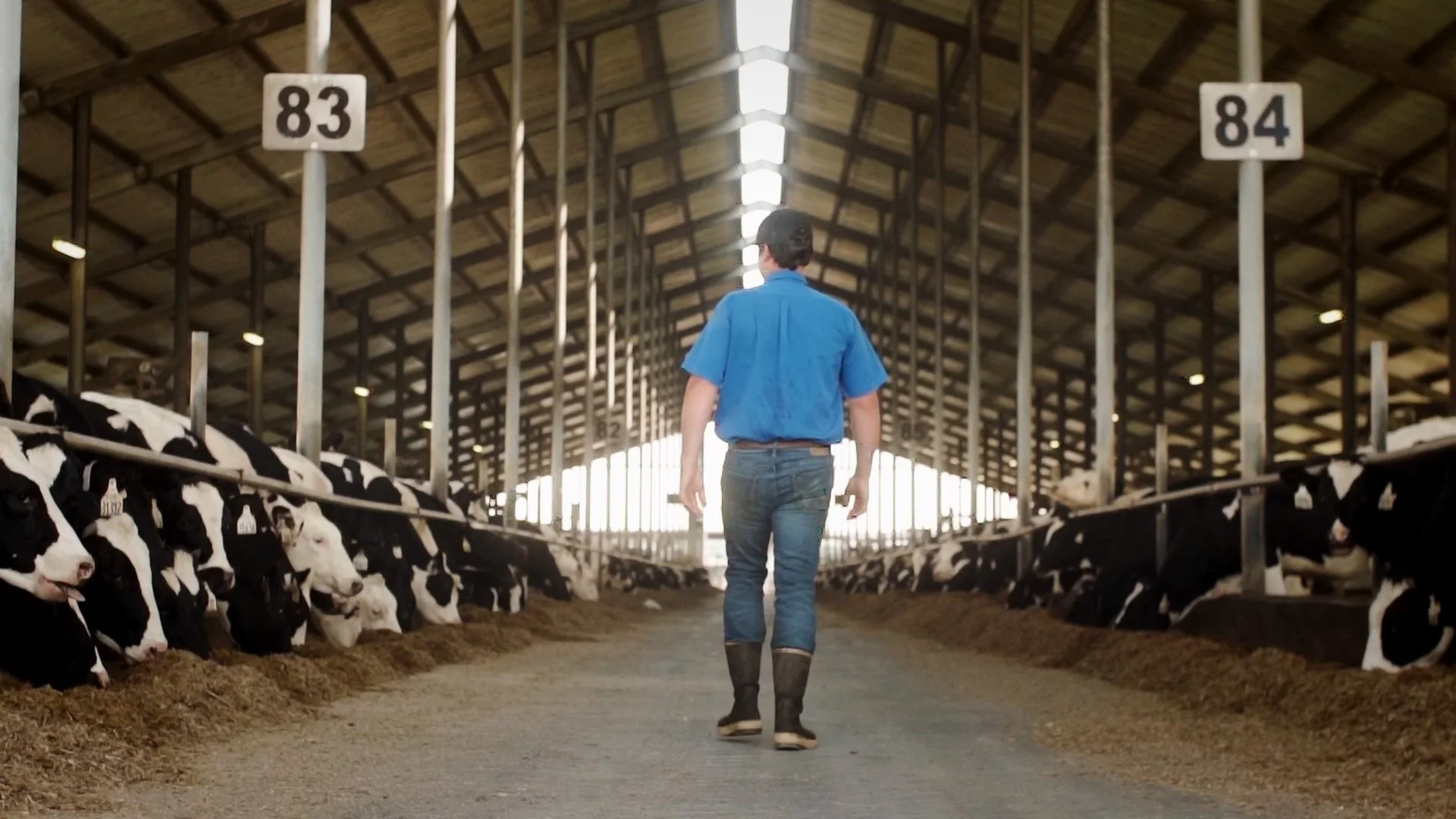 Florida Dairy