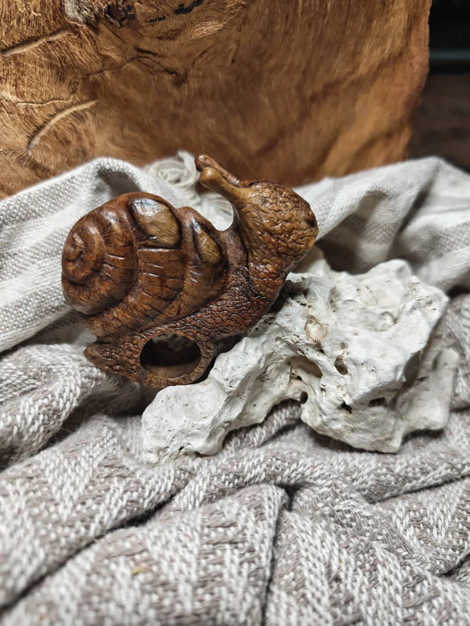 WhatsApp Image 2025-11-04 at 17.35.53 (1).jpeg