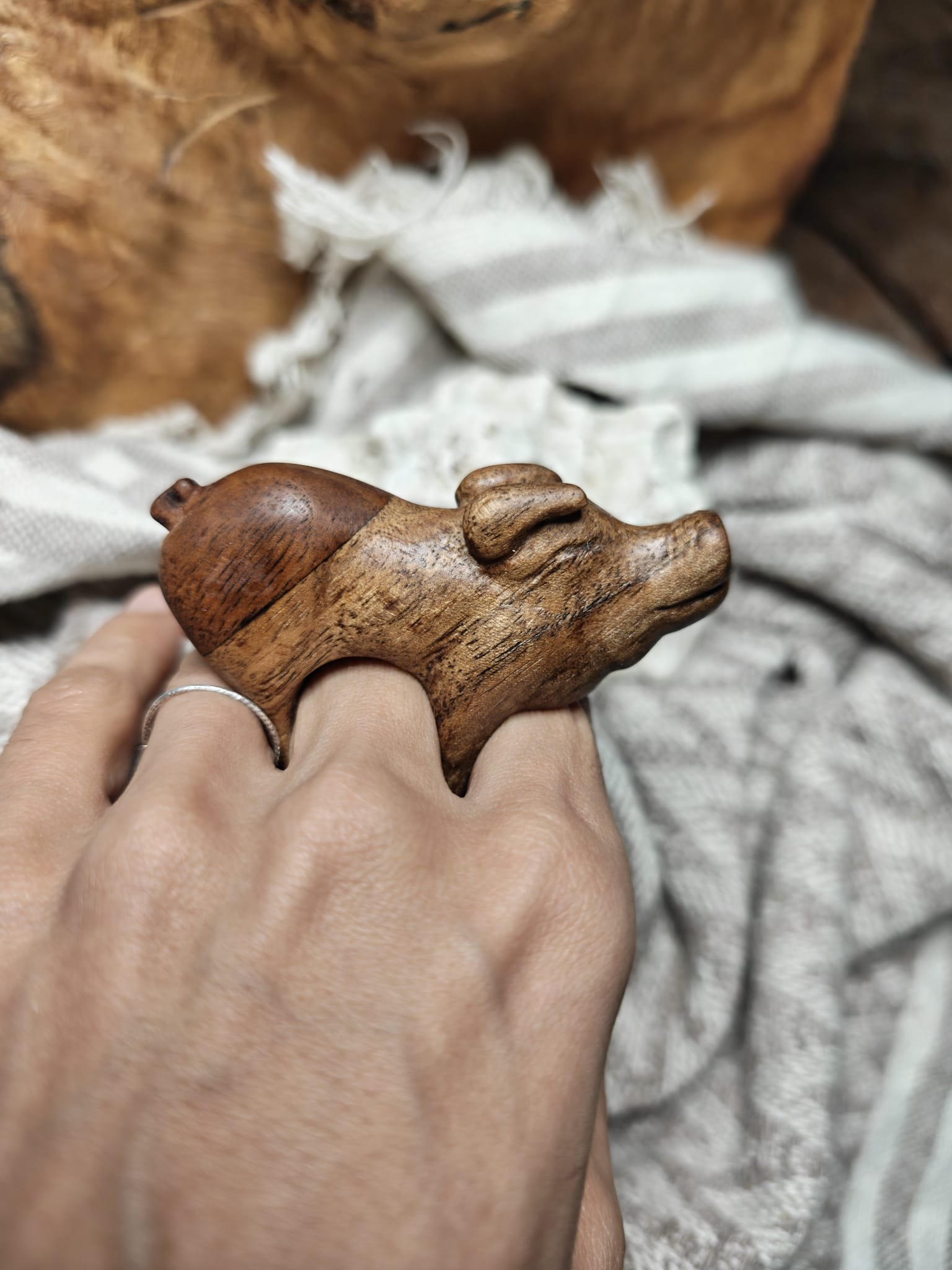 WhatsApp Image 2025-11-04 at 17.35.10 (1).jpeg