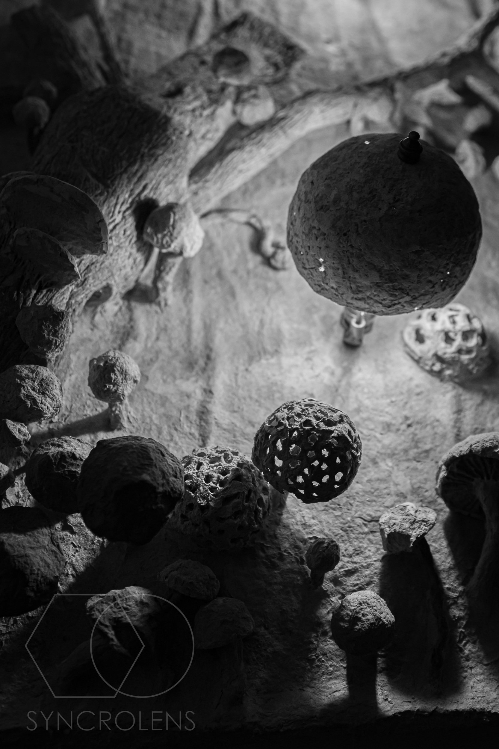 F075AD2B-A54D-4469-8D88-52B8C649B23A.jpeg
