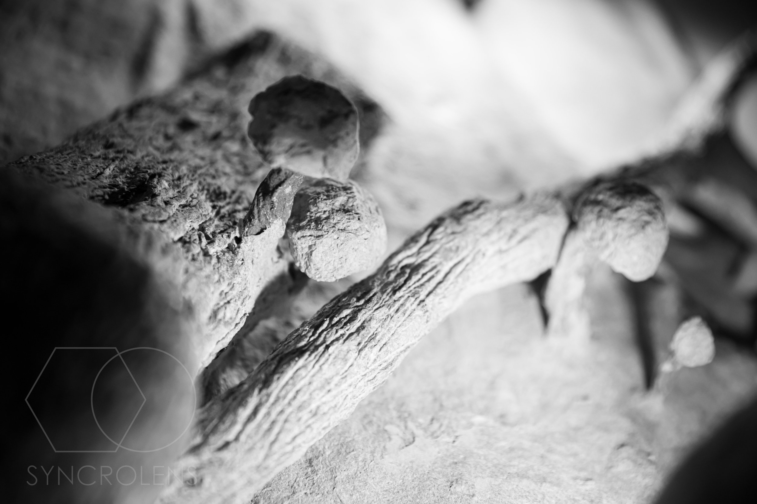 67840D8E-6454-42AF-BADD-F77922C68D03.jpeg