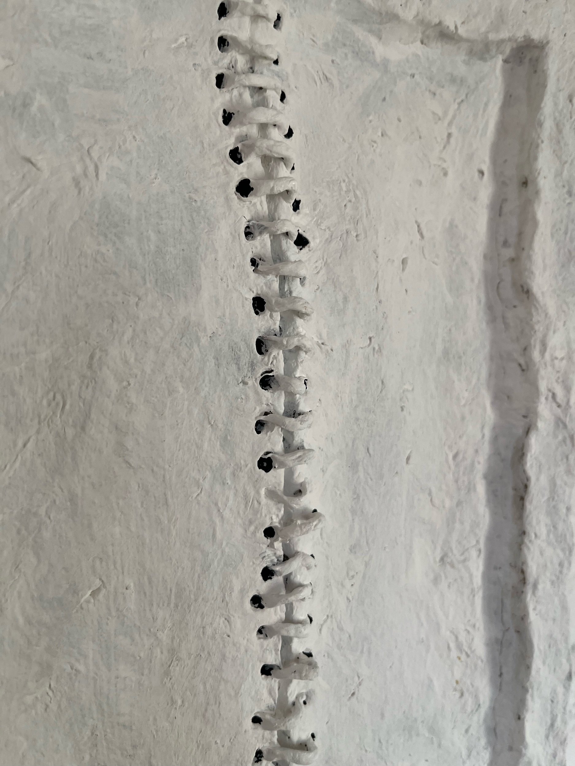 6A3404F0-9013-4D12-B7CE-28004A5F72D3.jpeg