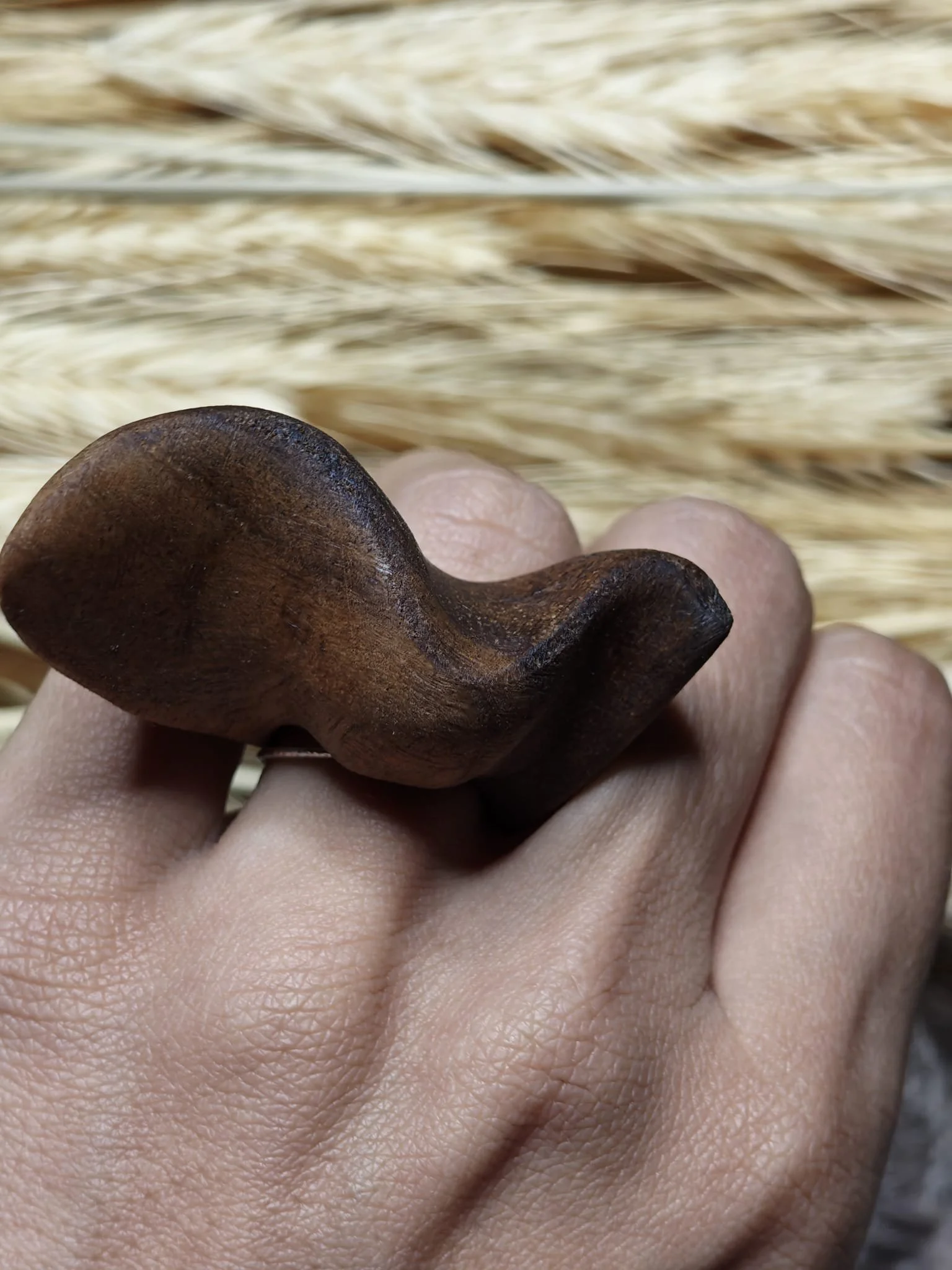 WhatsApp Image 2025-11-06 at 10.55.16.jpeg