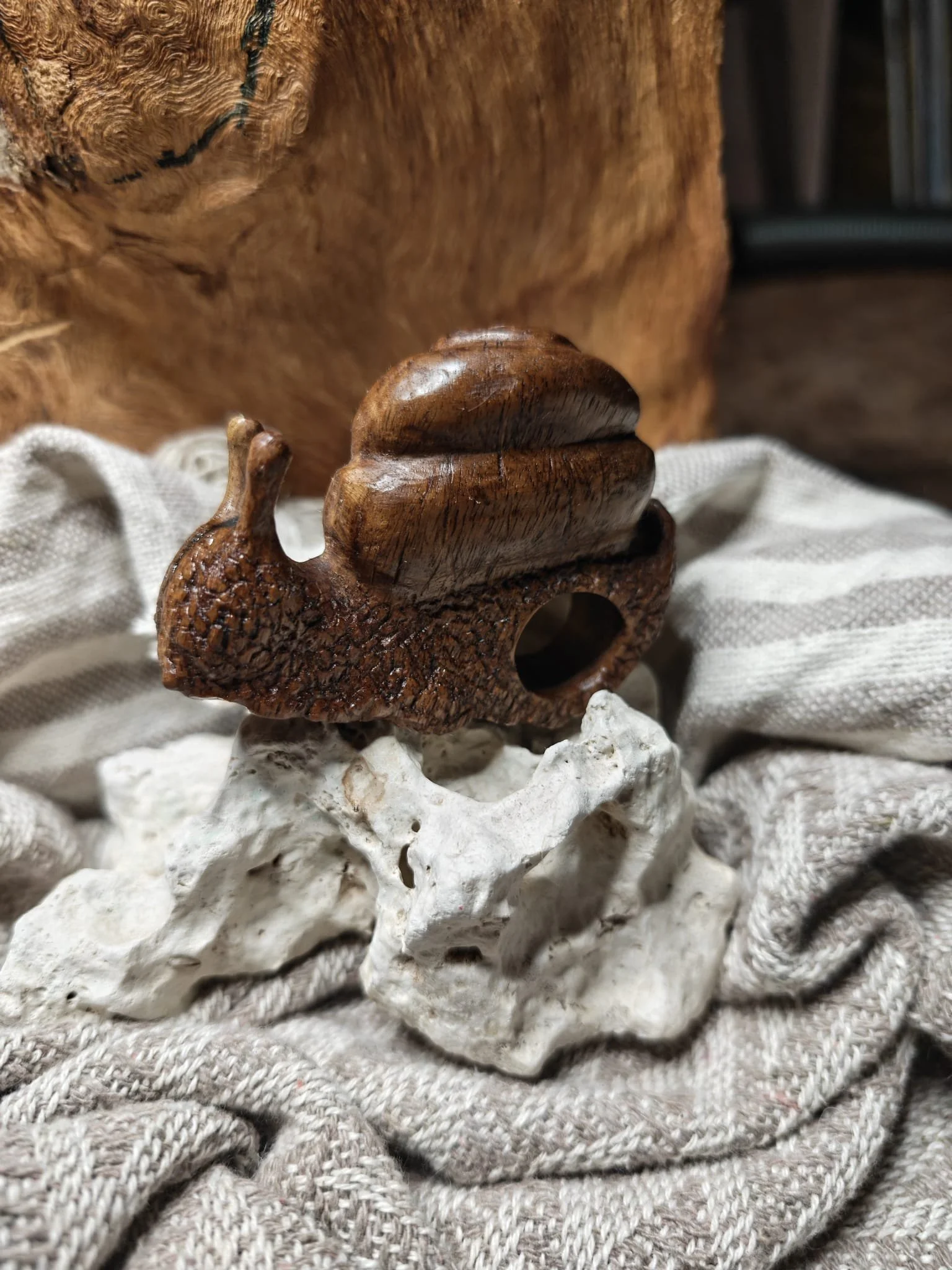 WhatsApp Image 2025-11-04 at 17.35.54.jpeg