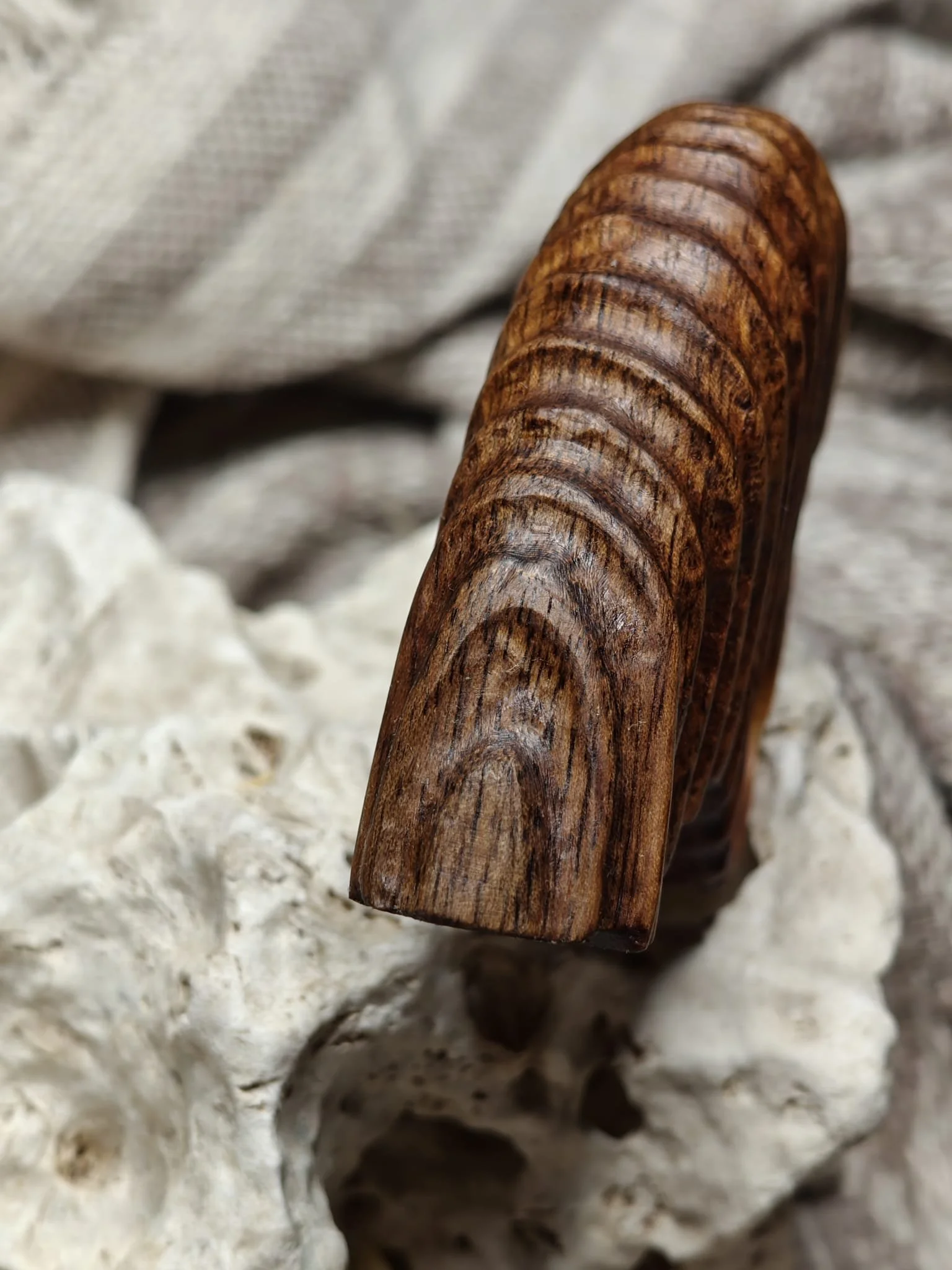 WhatsApp Image 2025-11-04 at 17.24.23.jpeg