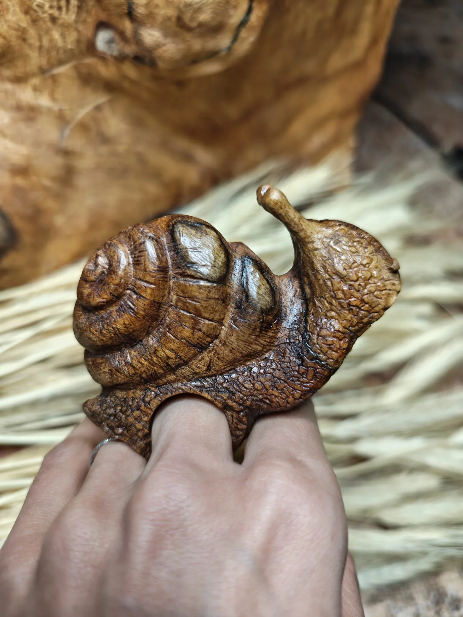 WhatsApp Image 2025-11-04 at 17.35.48.jpeg