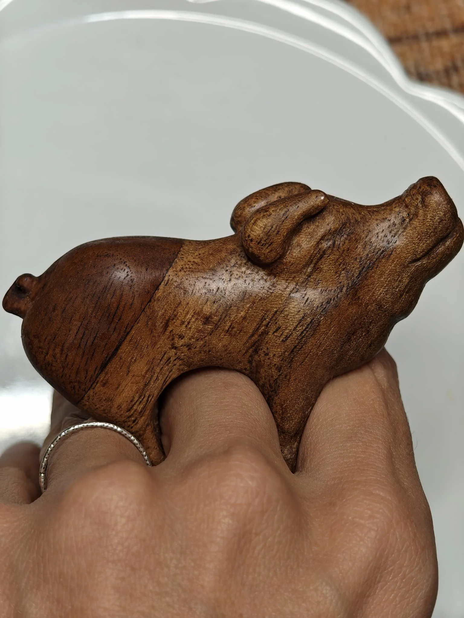 WhatsApp Image 2025-11-04 at 17.35.12 (1).jpeg