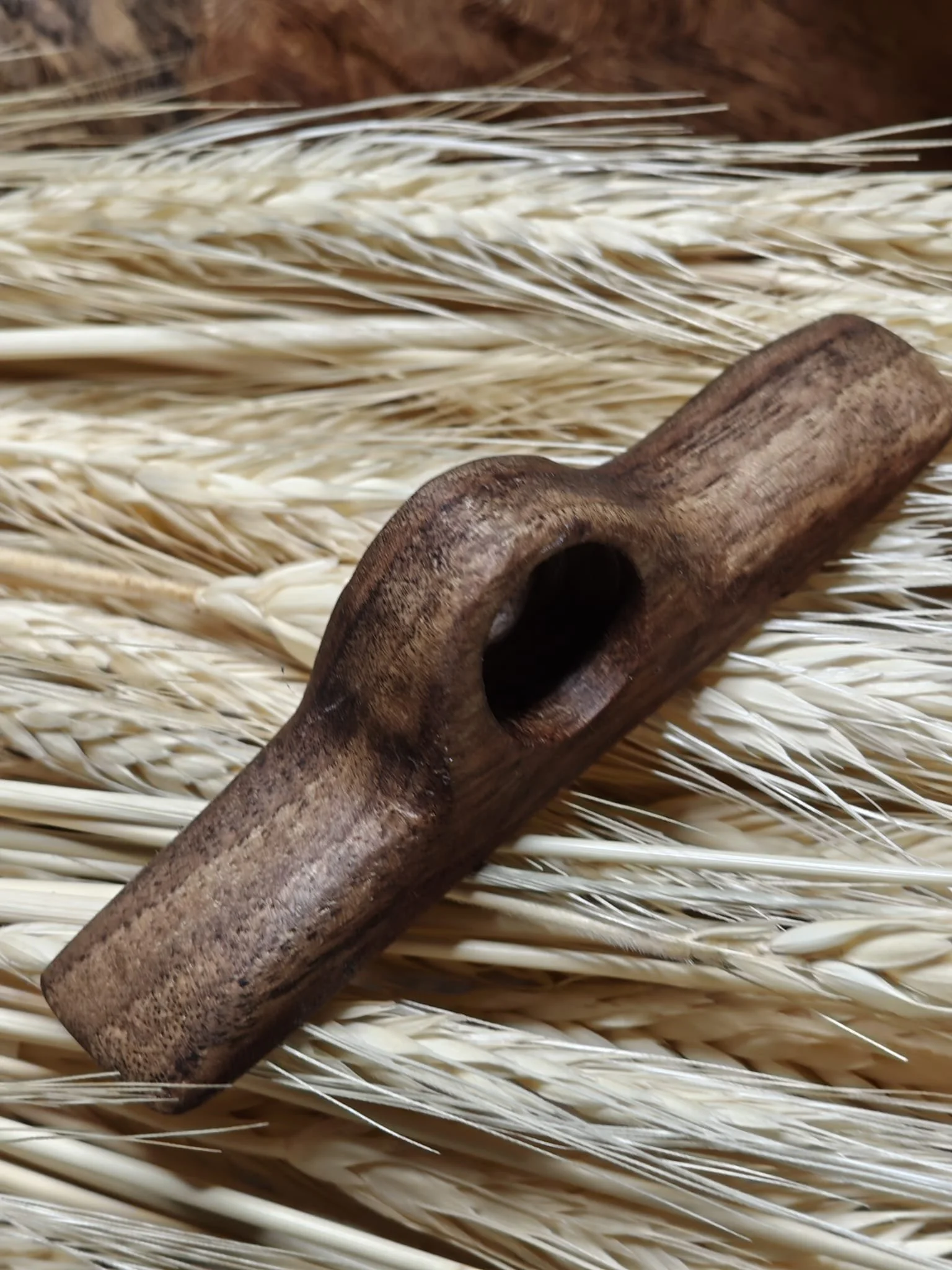 WhatsApp Image 2025-11-06 at 10.51.24.jpeg