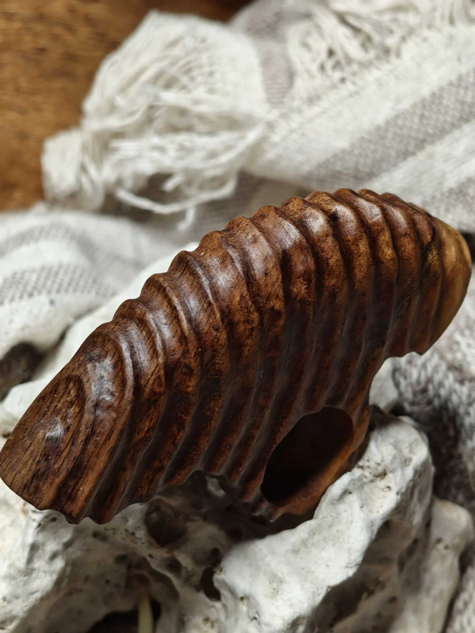 WhatsApp Image 2025-11-04 at 17.24.23 (1).jpeg