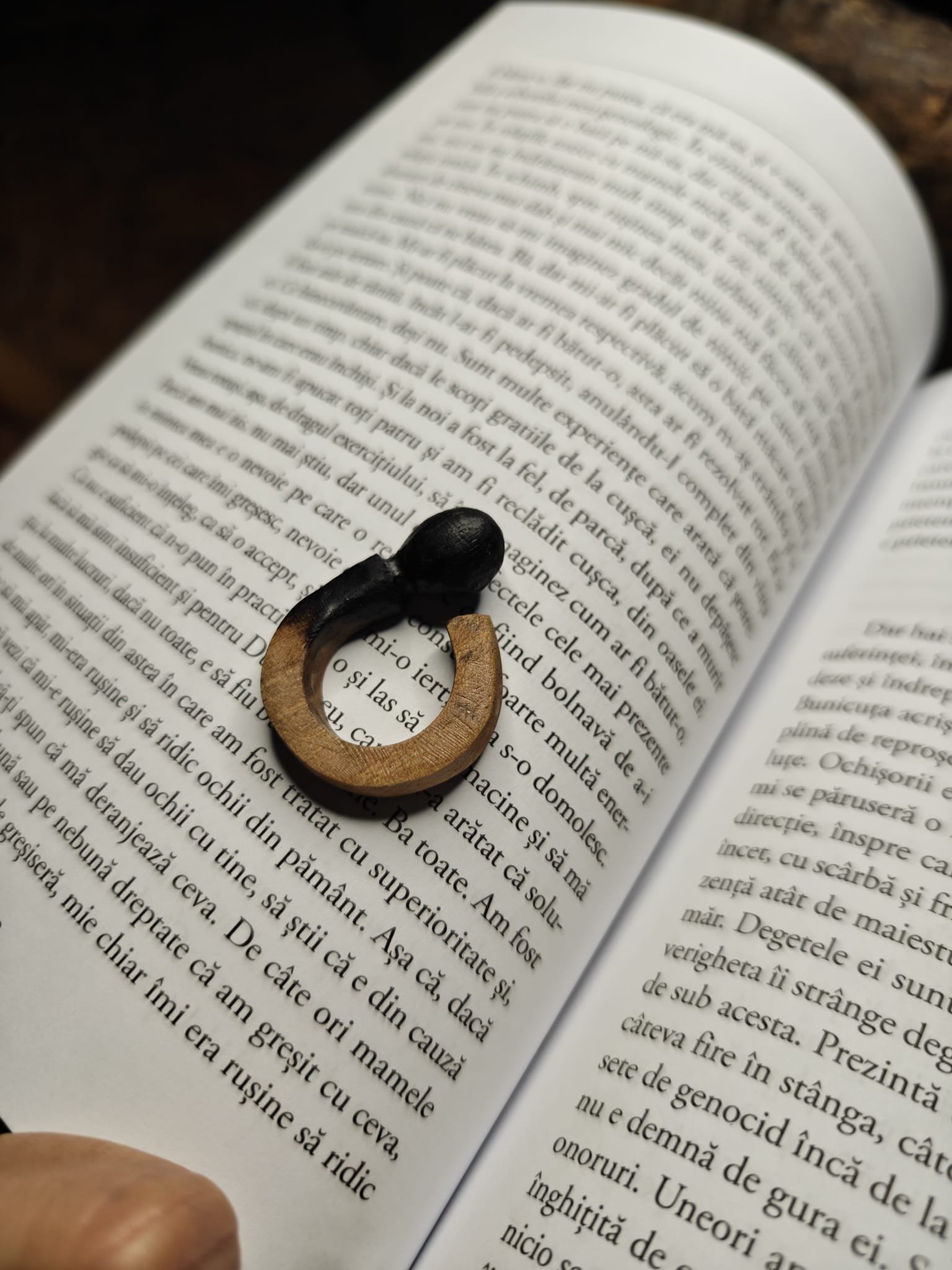 WhatsApp Image 2025-11-06 at 10.52.23.jpeg