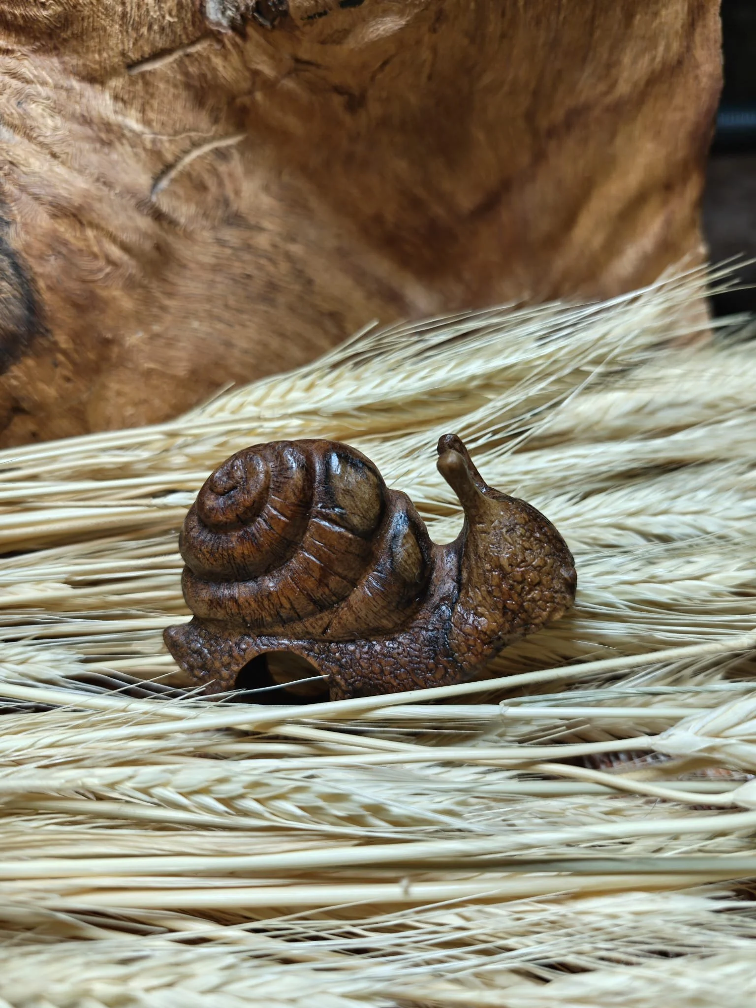 WhatsApp Image 2025-11-04 at 17.35.47 (1).jpeg