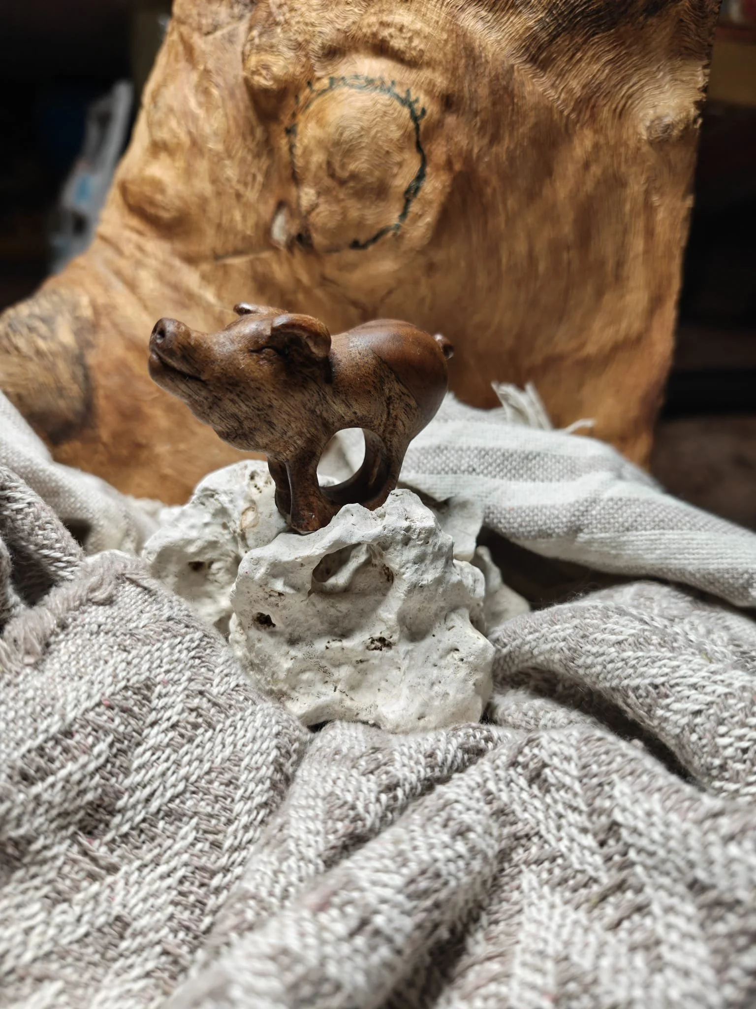 WhatsApp Image 2025-11-04 at 17.35.13.jpeg