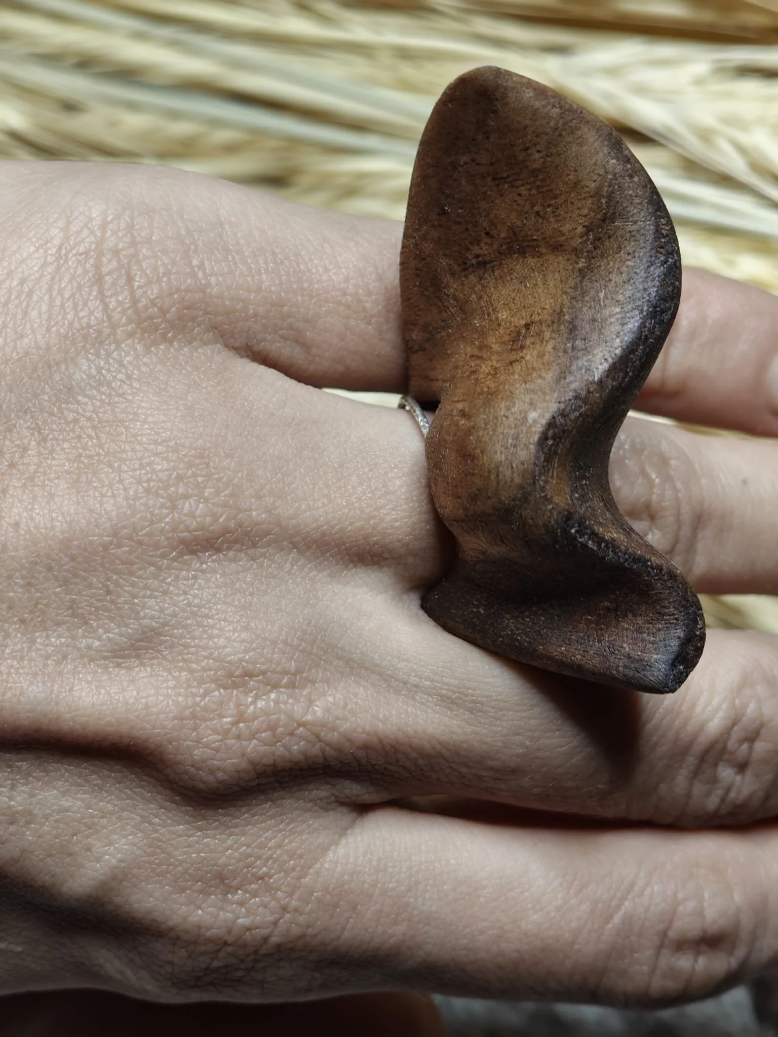 WhatsApp Image 2025-11-06 at 10.55.14.jpeg