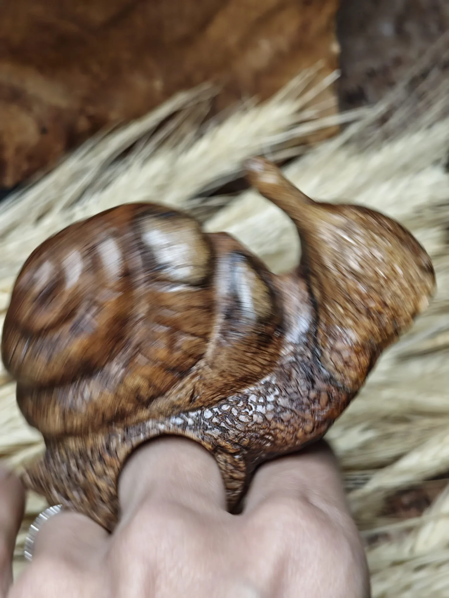 WhatsApp Image 2025-11-04 at 17.35.49.jpeg