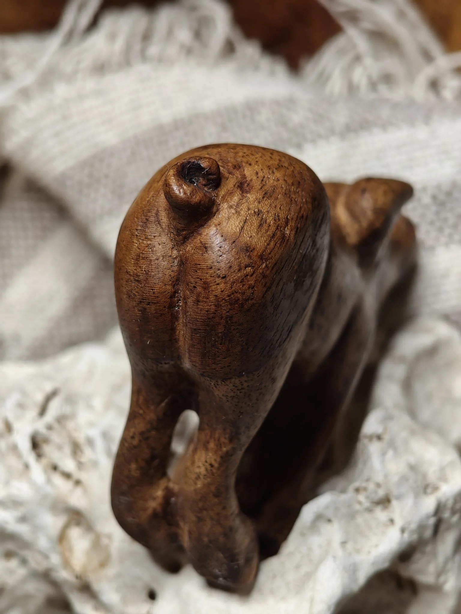 WhatsApp Image 2025-11-04 at 17.35.09.jpeg