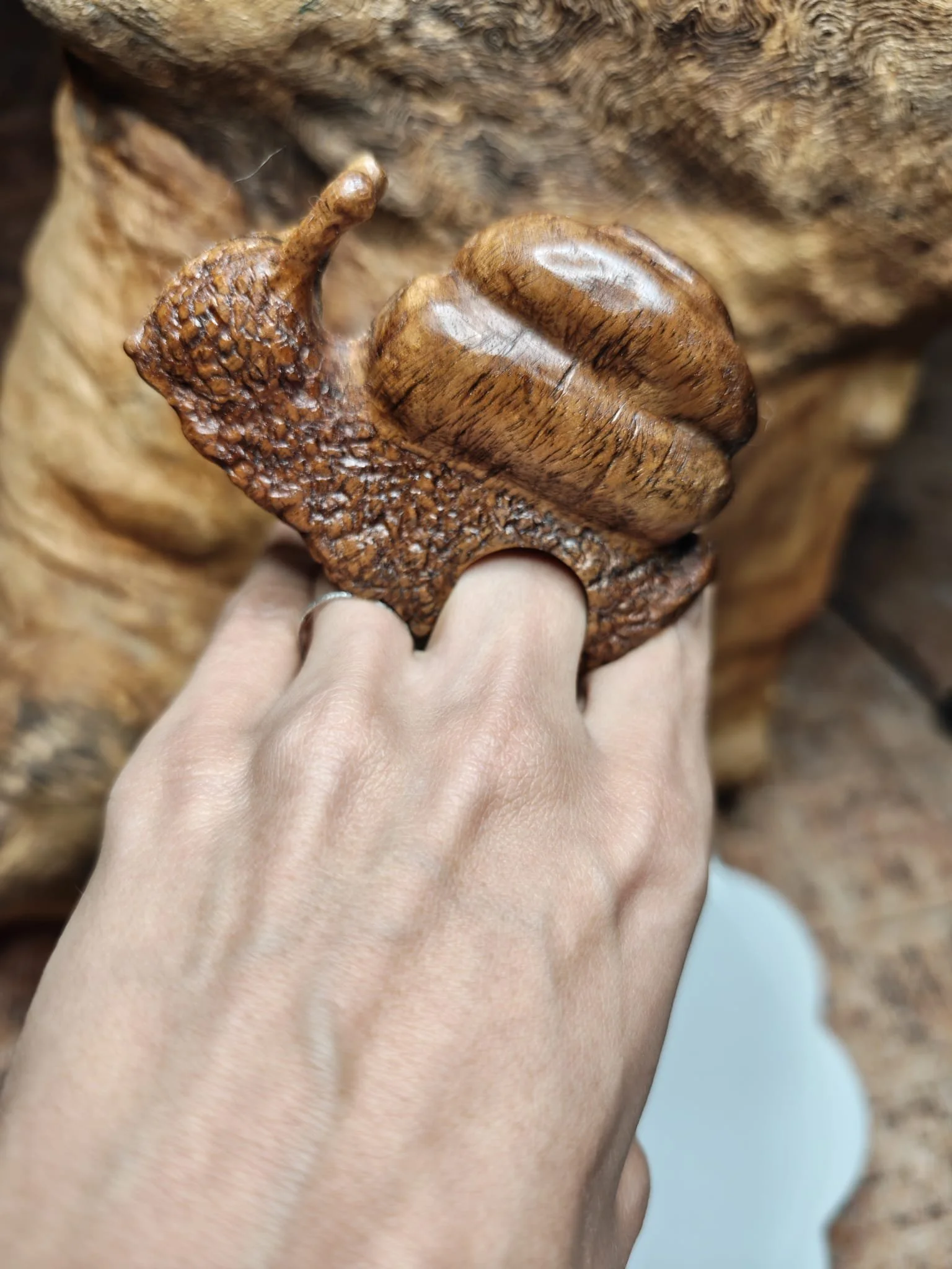 WhatsApp Image 2025-11-04 at 17.35.50 (1).jpeg