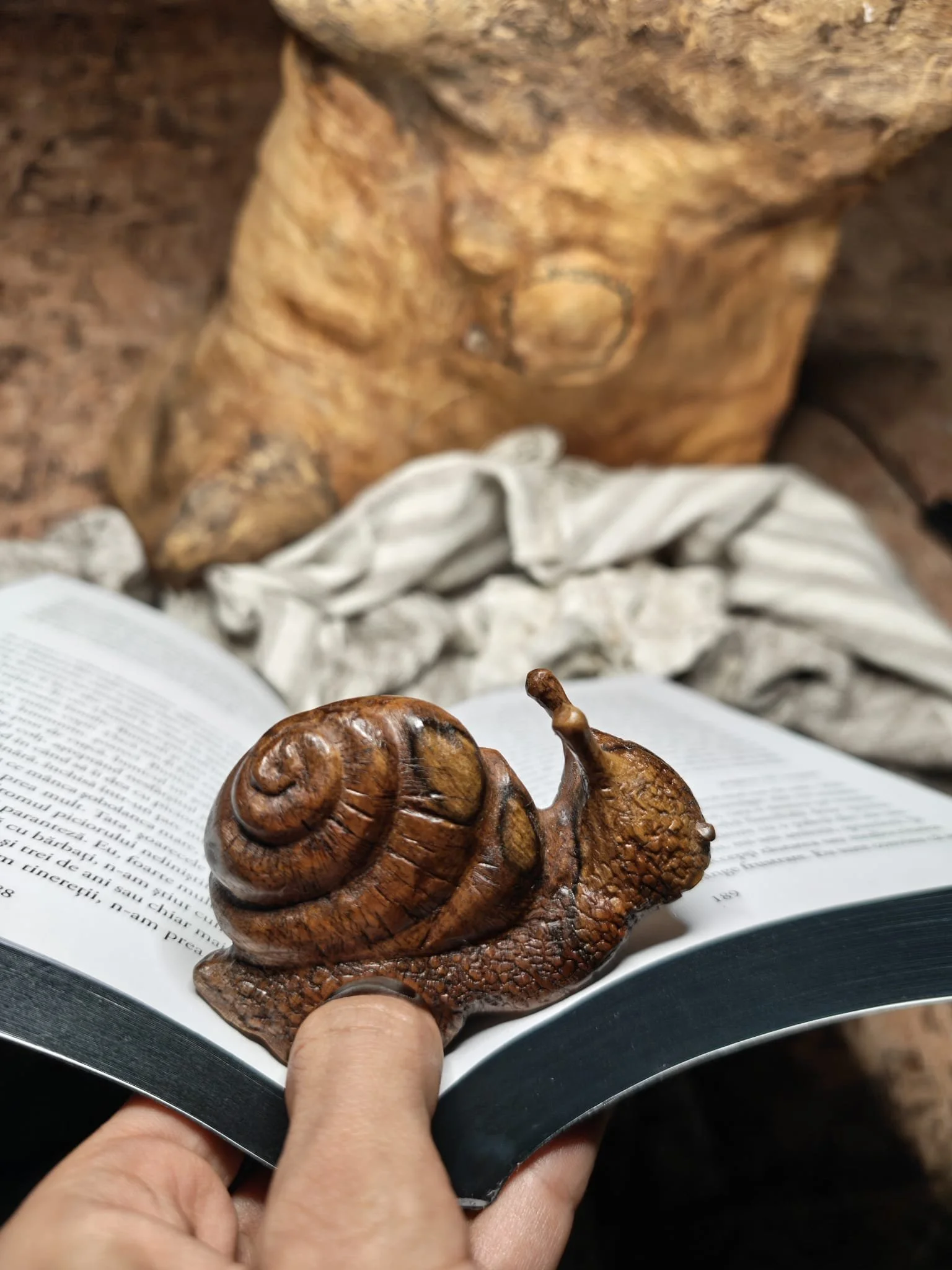 WhatsApp Image 2025-11-04 at 17.35.53.jpeg