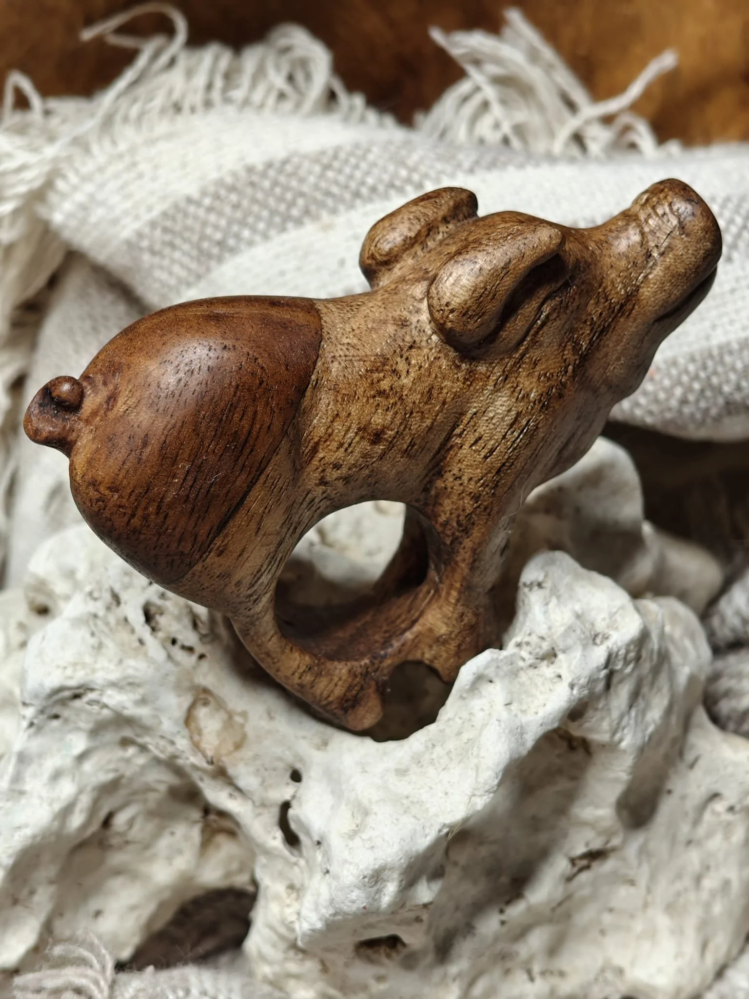 WhatsApp Image 2025-11-04 at 17.35.13 (1).jpeg