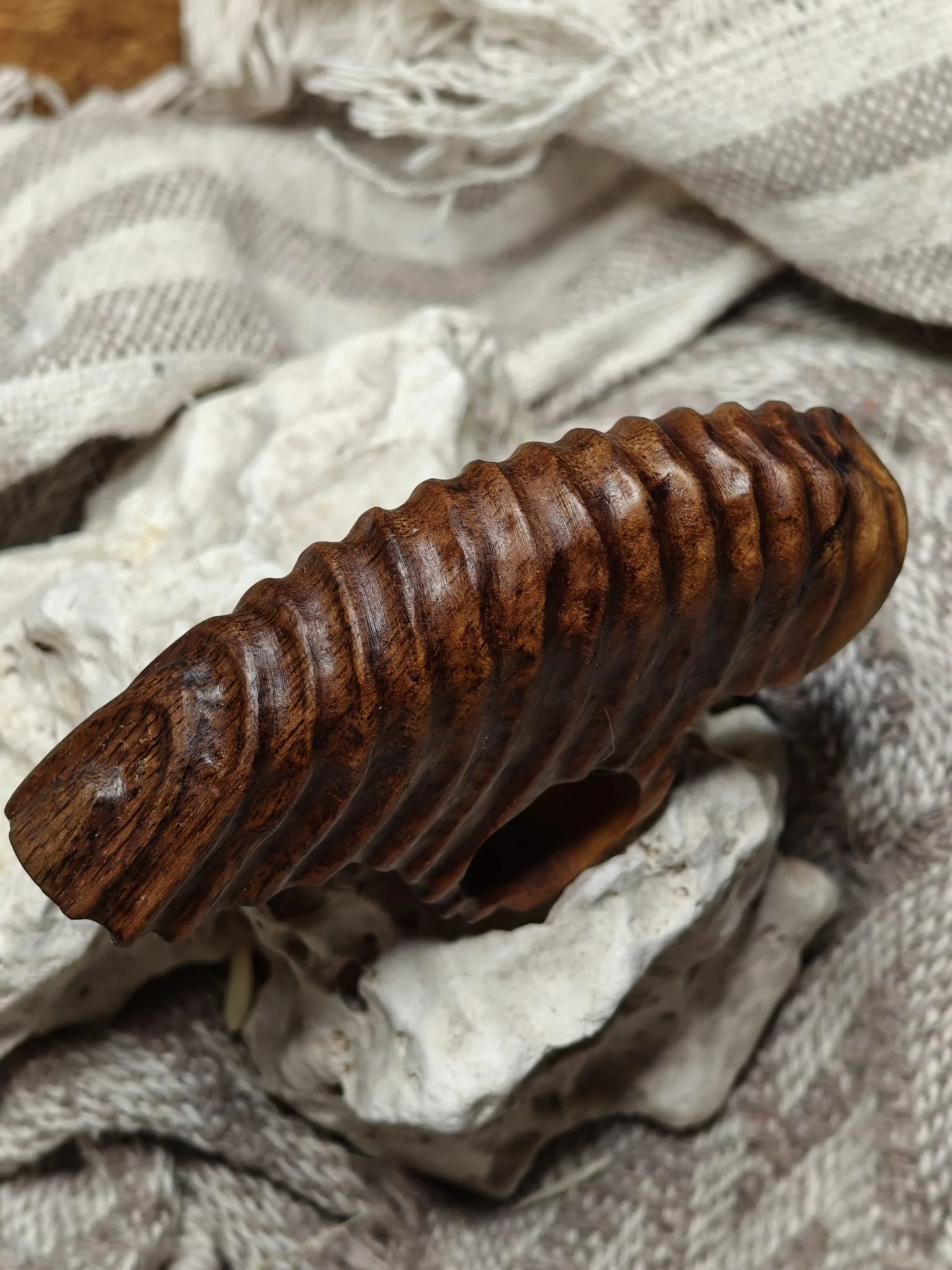 WhatsApp Image 2025-11-04 at 17.24.23 (2).jpeg