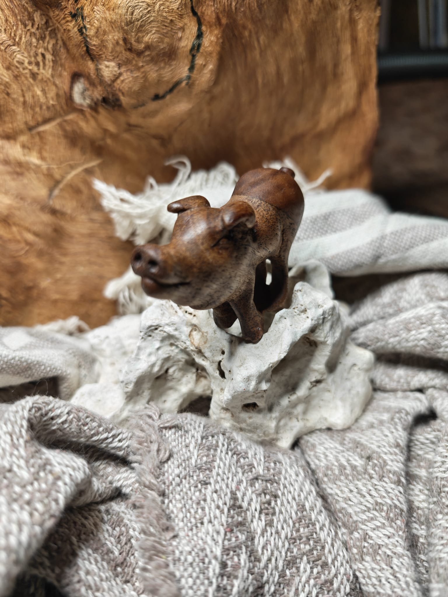 WhatsApp Image 2025-11-04 at 17.35.12 (2).jpeg