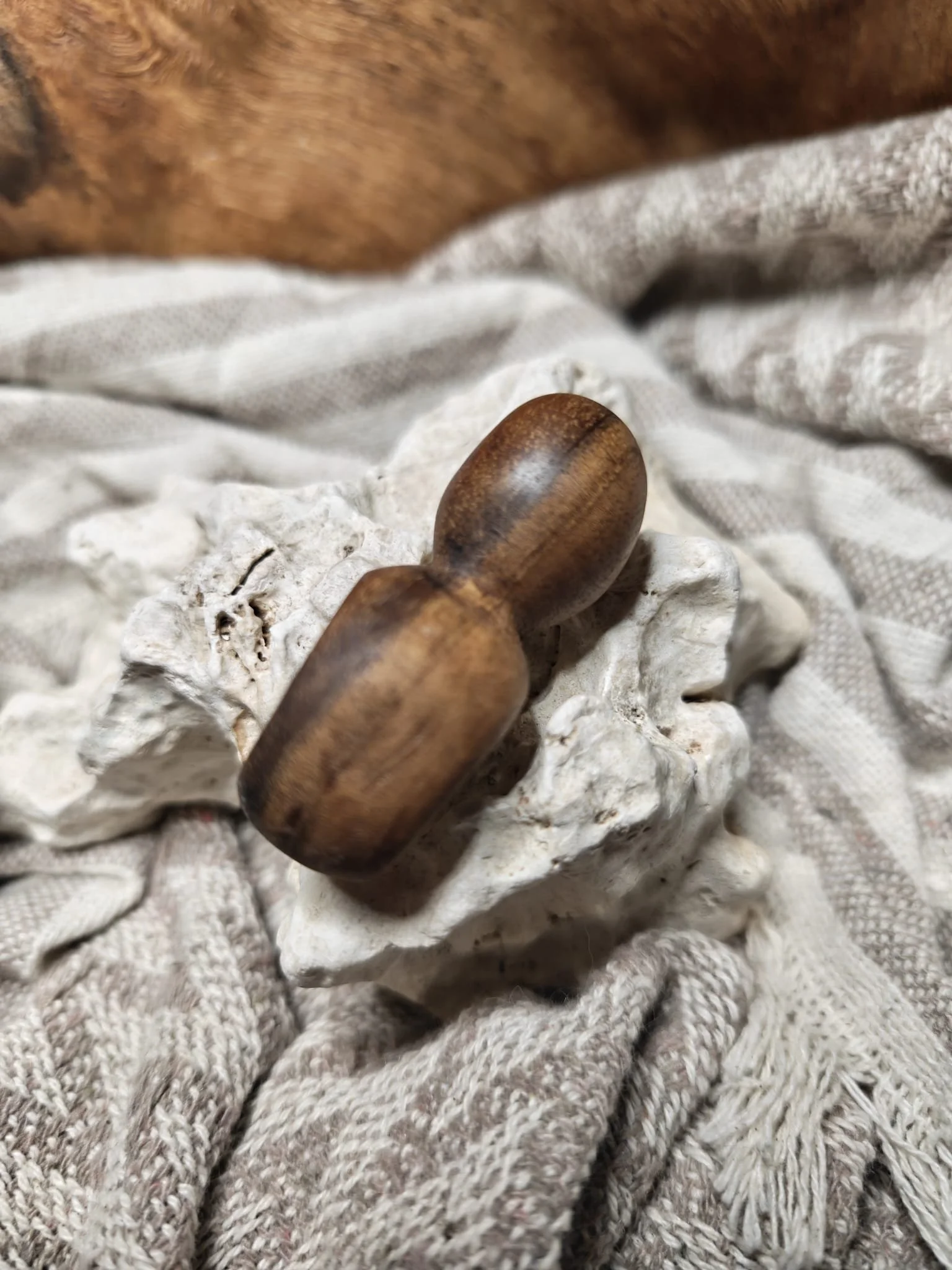 WhatsApp Image 2025-11-06 at 10.54.49.jpeg