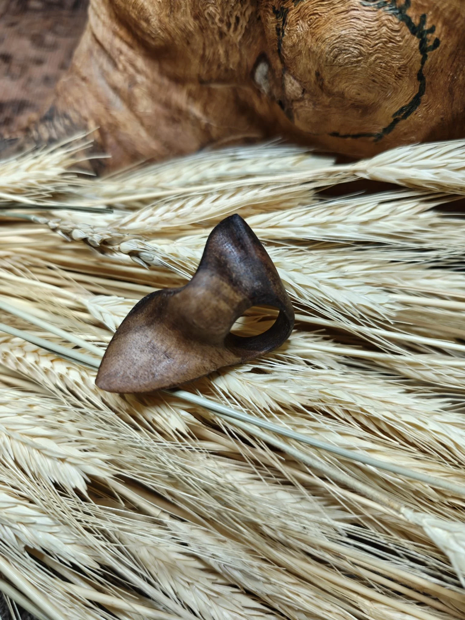 WhatsApp Image 2025-11-06 at 10.55.17 (3).jpeg