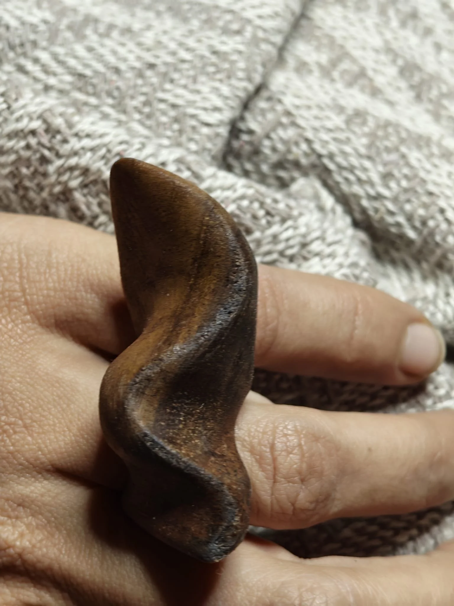 WhatsApp Image 2025-11-06 at 10.55.18 (1).jpeg