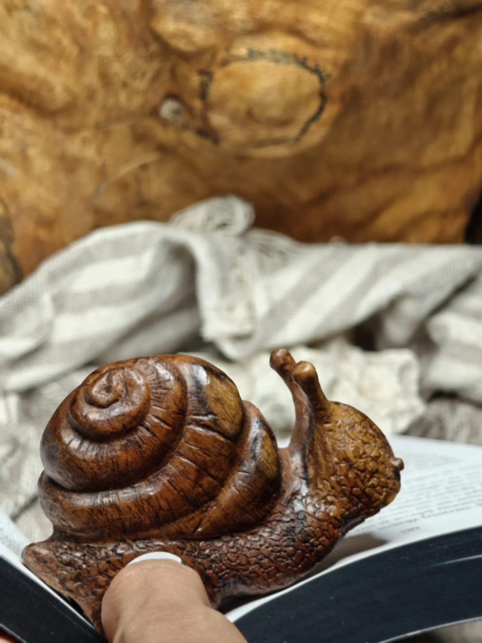 WhatsApp Image 2025-11-04 at 17.35.51 (1).jpeg