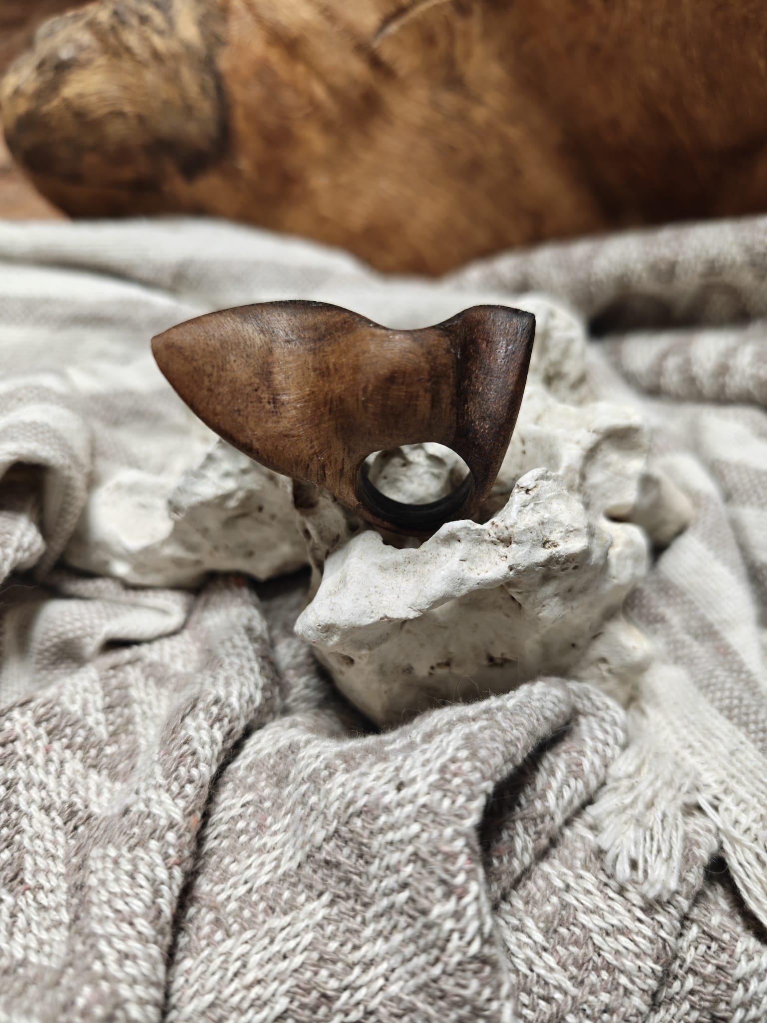 WhatsApp Image 2025-11-06 at 10.55.20.jpeg