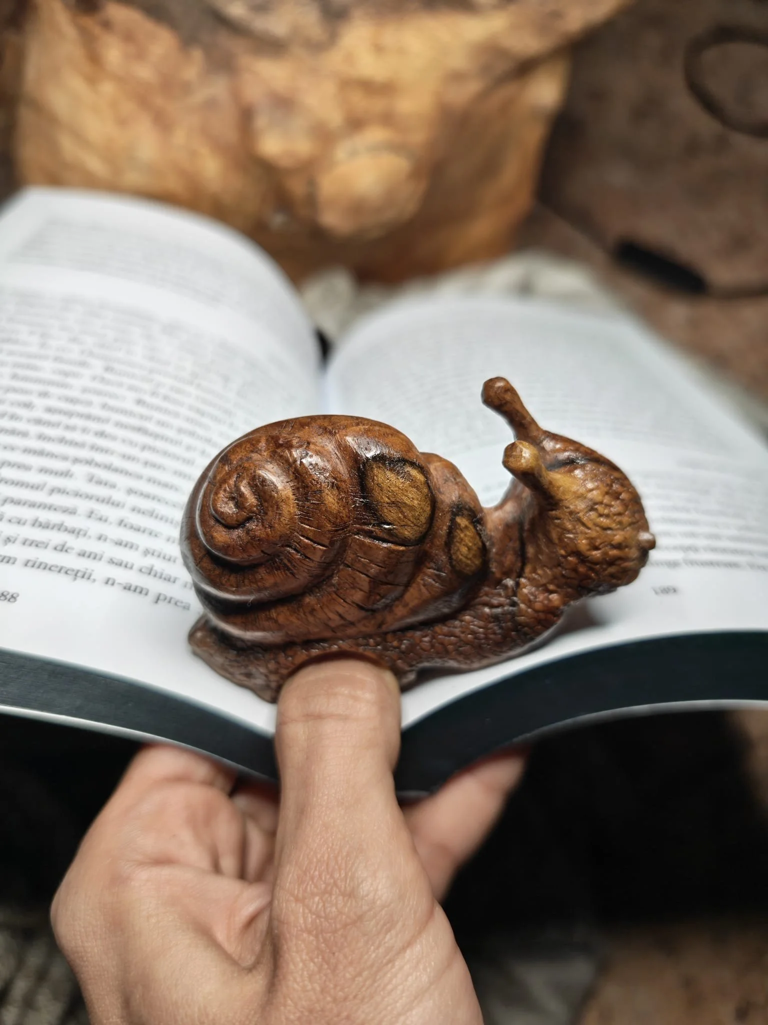 WhatsApp Image 2025-11-04 at 17.35.51 (2).jpeg