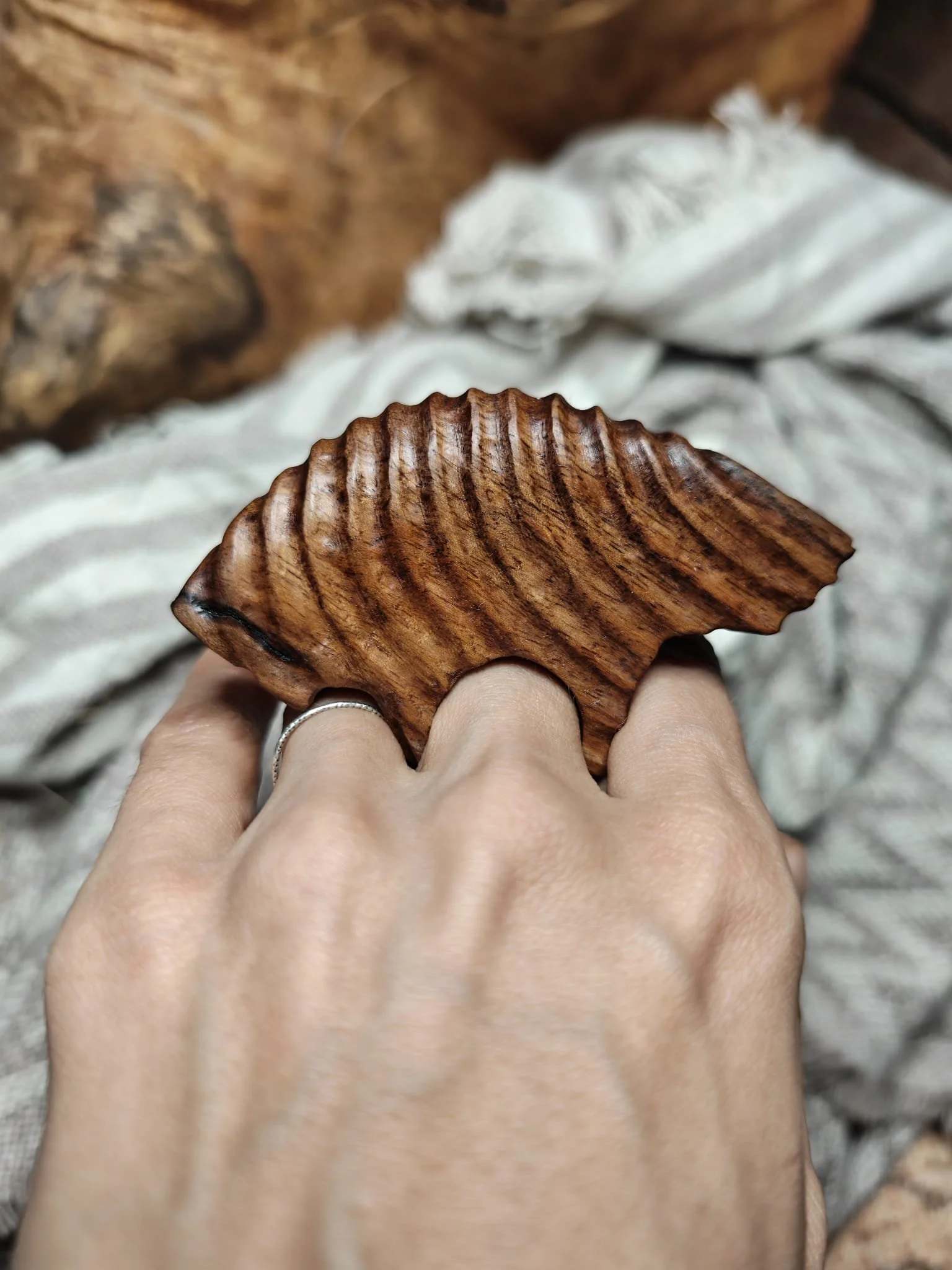 WhatsApp Image 2025-11-04 at 17.24.22 (1).jpeg