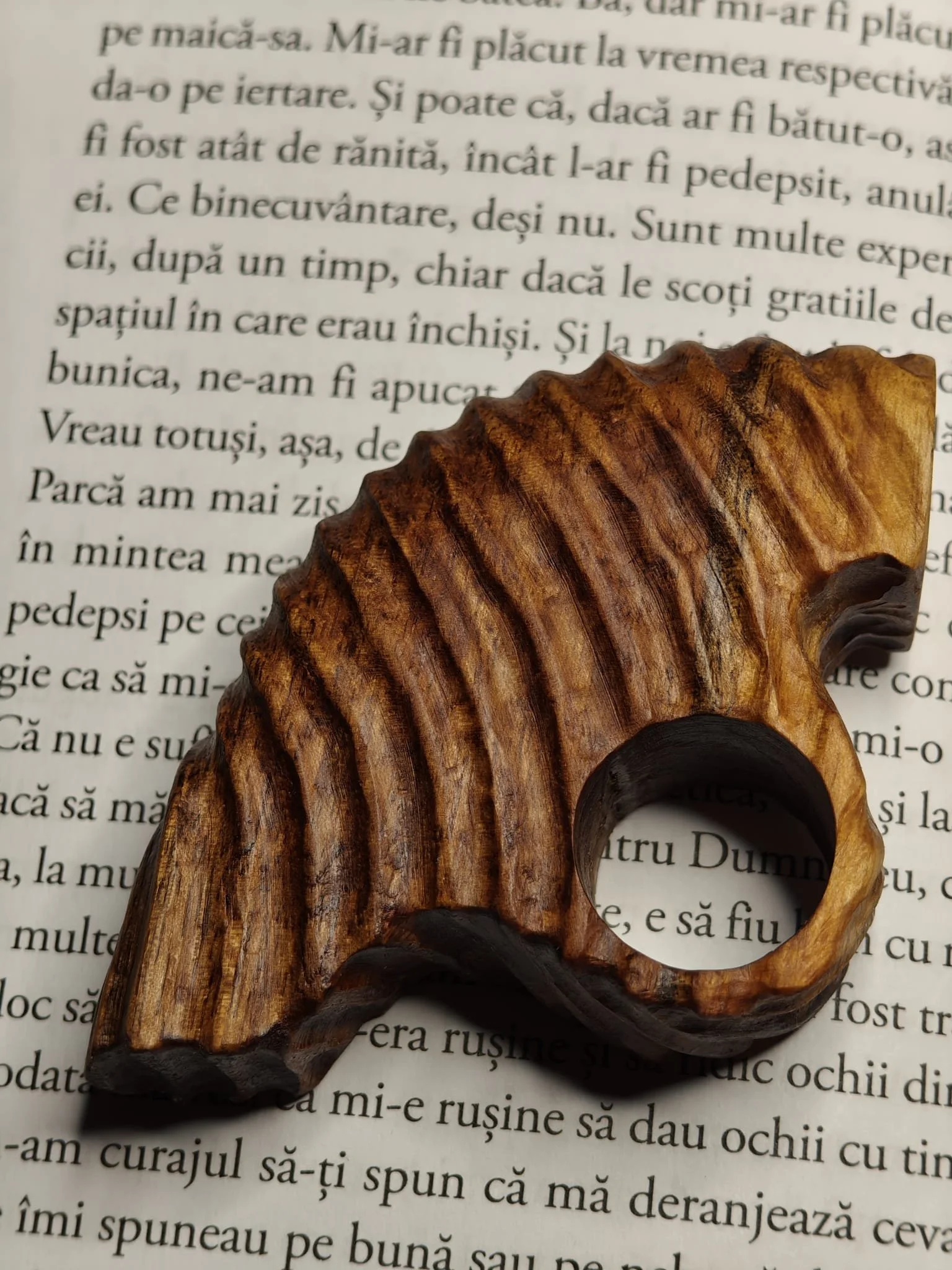 WhatsApp Image 2025-11-04 at 17.24.20.jpeg