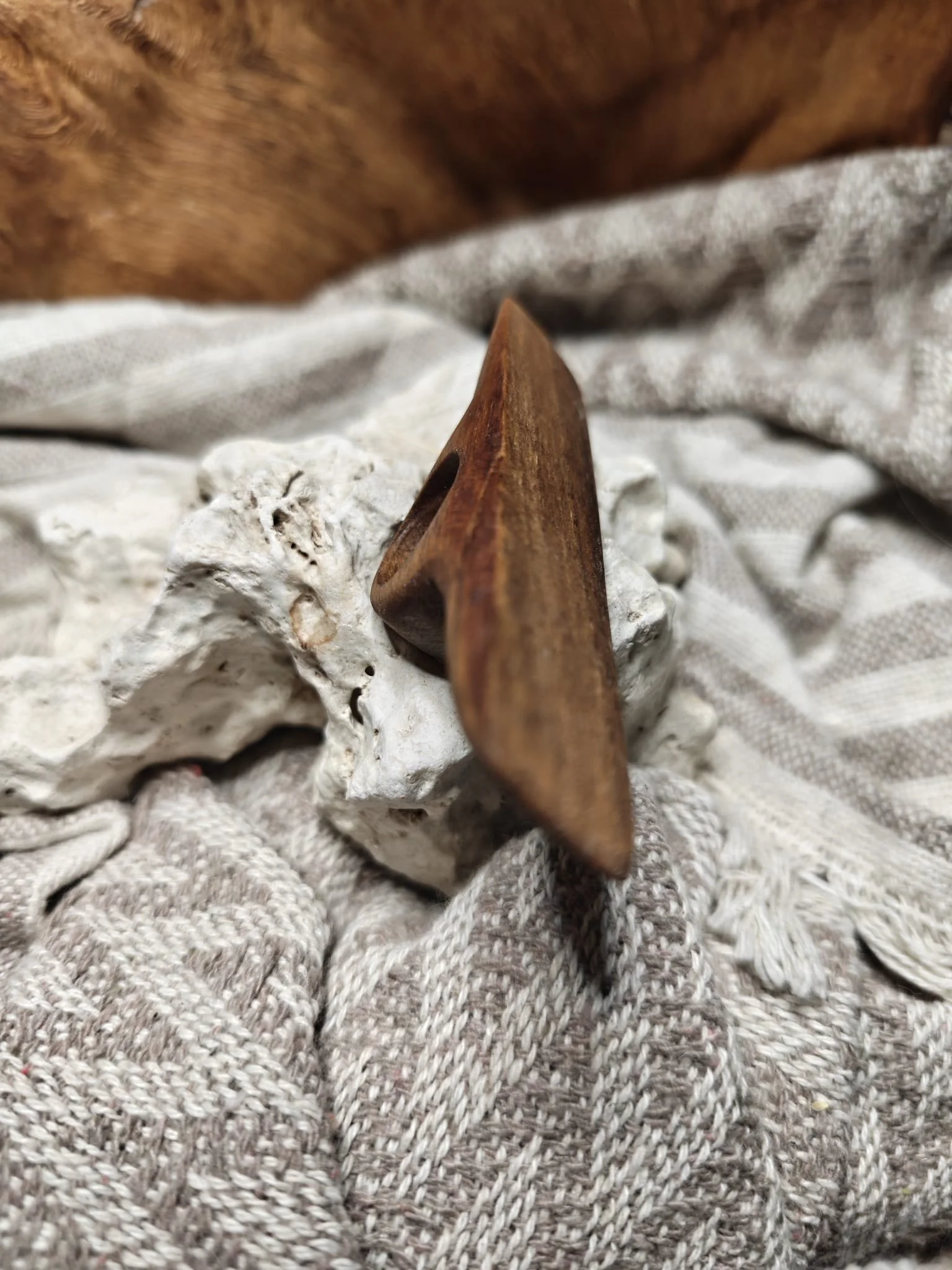 WhatsApp Image 2025-11-06 at 10.51.22 (1).jpeg